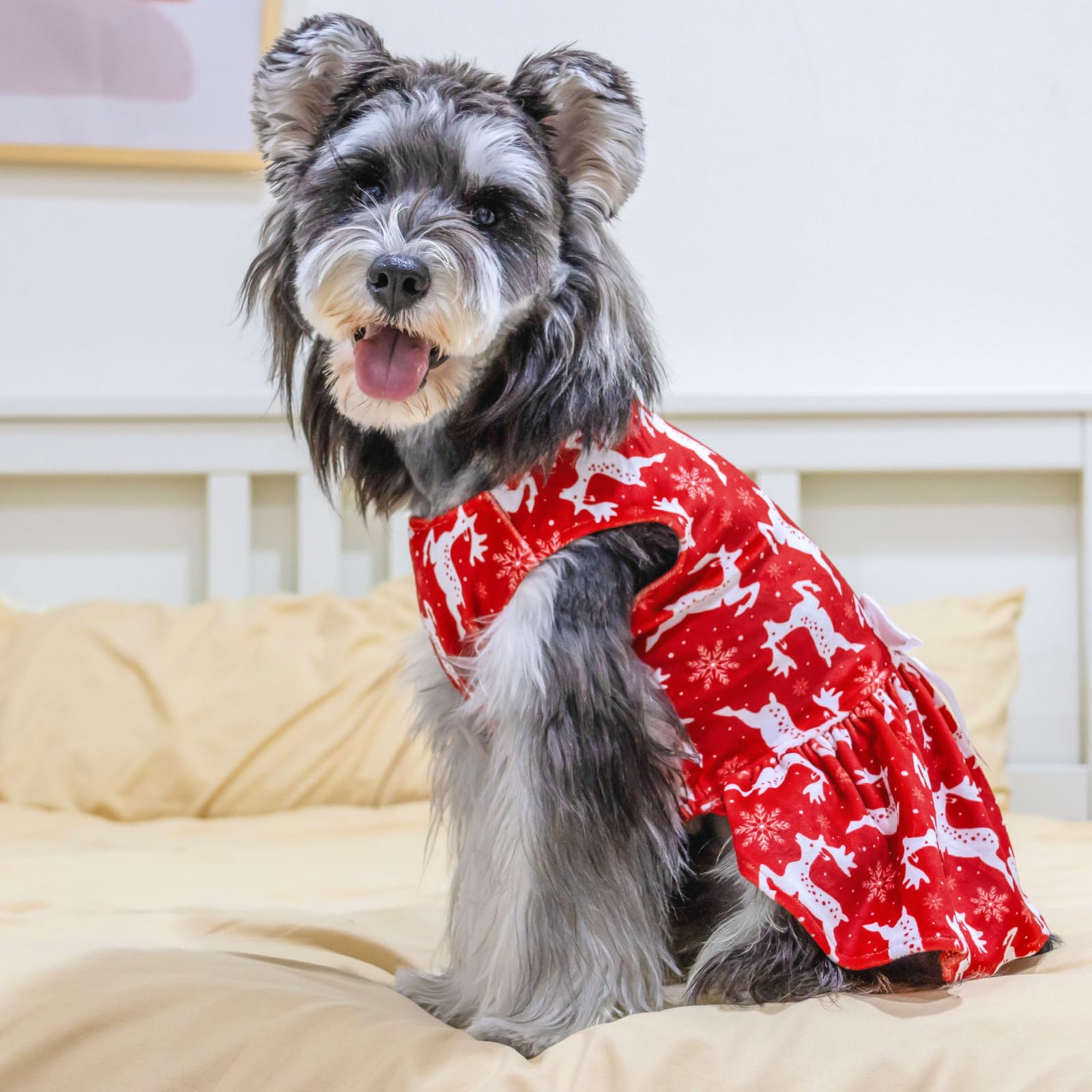 Cutebone Dog Christmas Dresses Outfit Velvet Holiday Small Dogs Clothes Onesie Pet Apparel Girl Puppy Skirt With Bow Hair Rope C