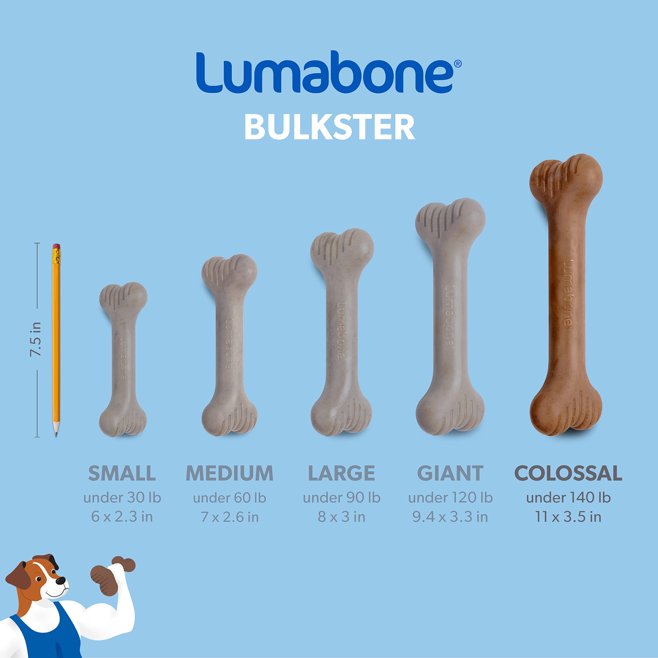 Lumabone Bulkster Durable Chew Toy For Aggressive Chewers, Real Beef, Made In Usa, Colossal
