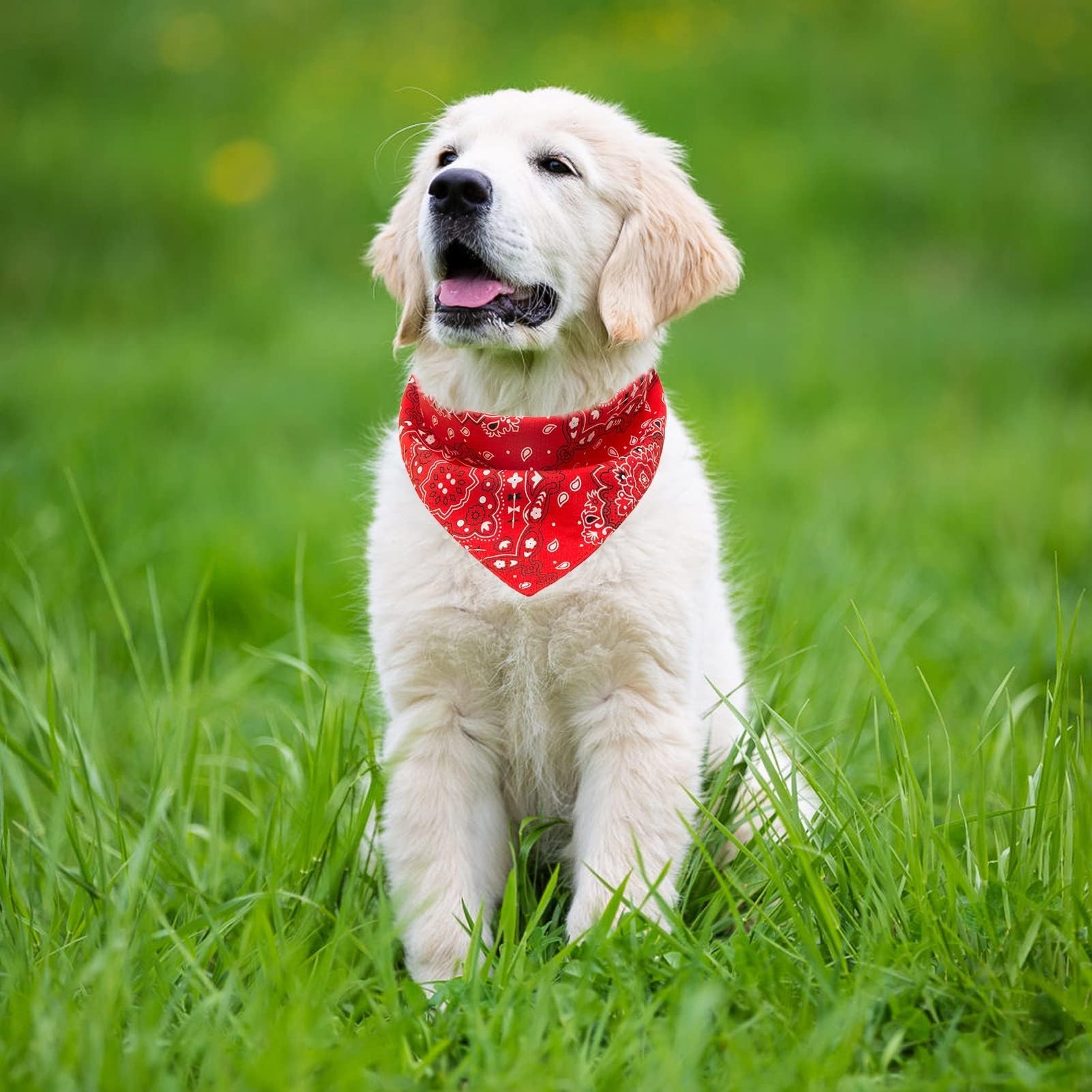 Pawchie Dog Bandanas Small Reversible Styles Pet Triangle Scarf Bibs - Adjustable With Two Snaps - Kerchief Set Accessories For Dogs, Puppy, Cats Red