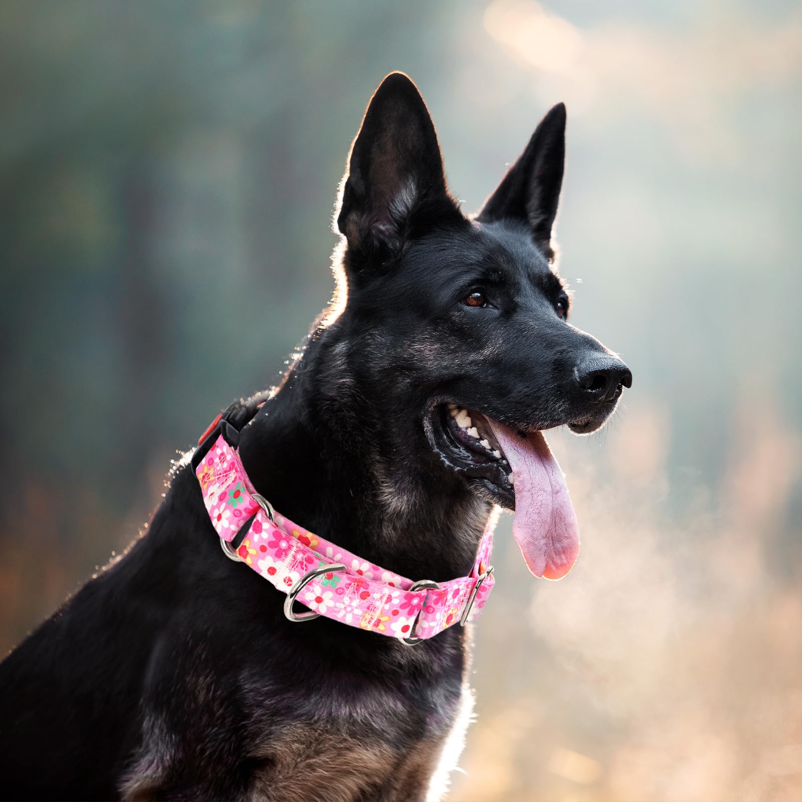 Pink Martingale Collar For Medium Dogs With Safety Buckle, Adjustable Girl Dog Collars With Flowers Design, Heavy Duty No Slip C
