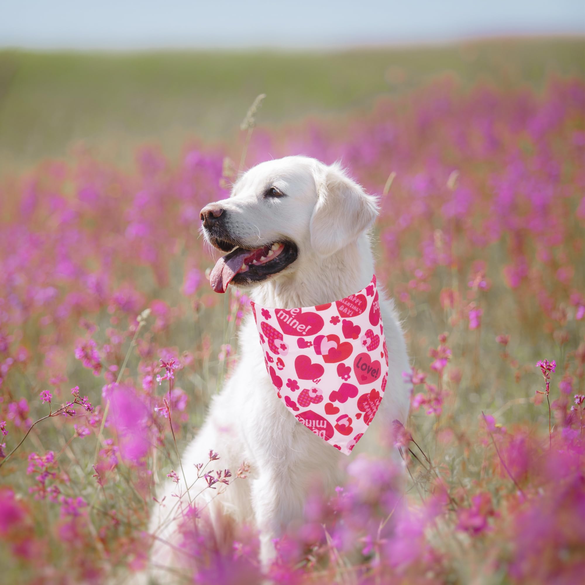 ADOGGYGO 4 Pack Valentine Dog Bandana Triangle Pet Scarf Red Pink Heart Pattern Valentine Bandanas for Large and Extra Large Dog