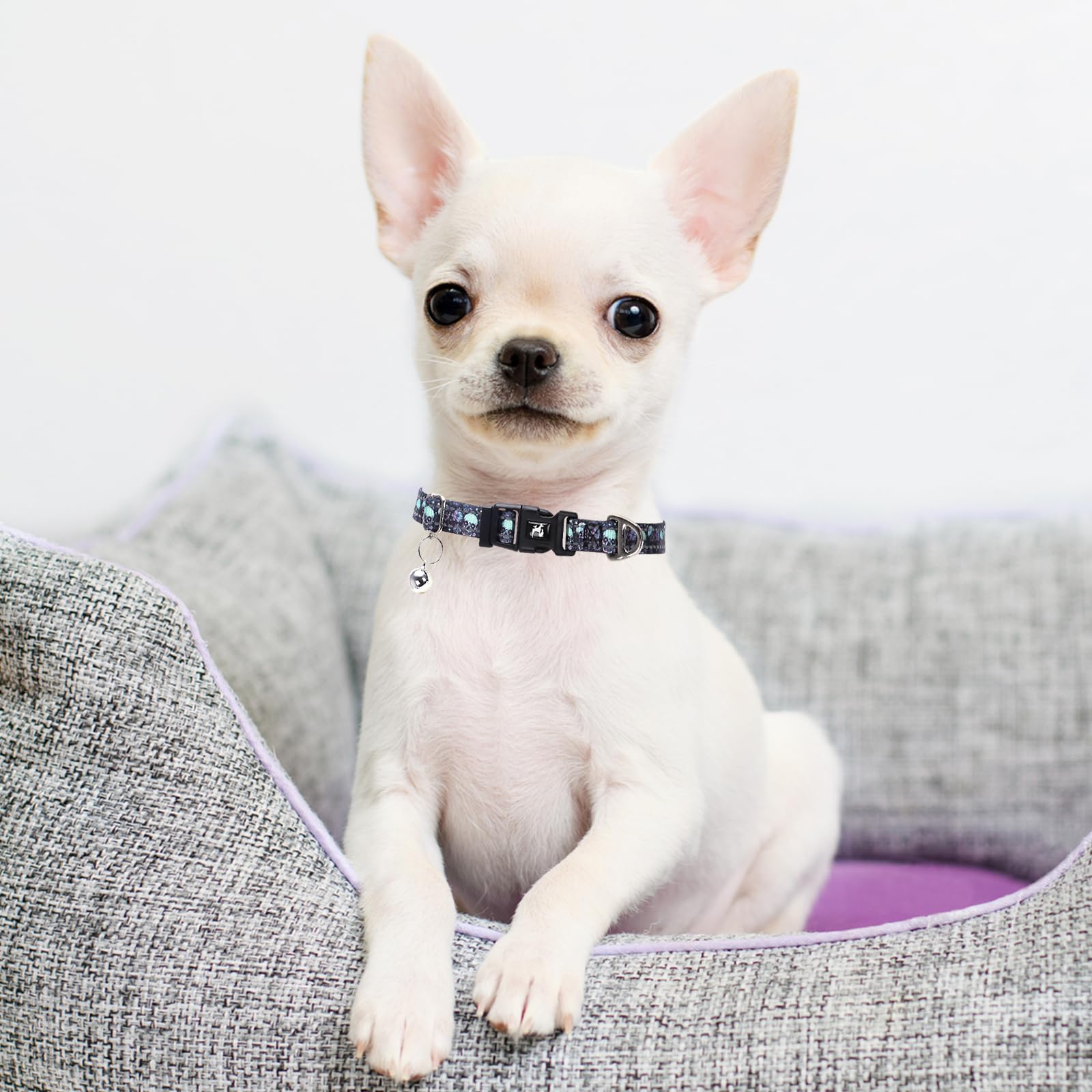 Xs Dog Collar With Bell - Soft Adjustable Nylon Collar For Small Breeds, Skull Pattern Reflective Collar For Chihuahua Pomerania