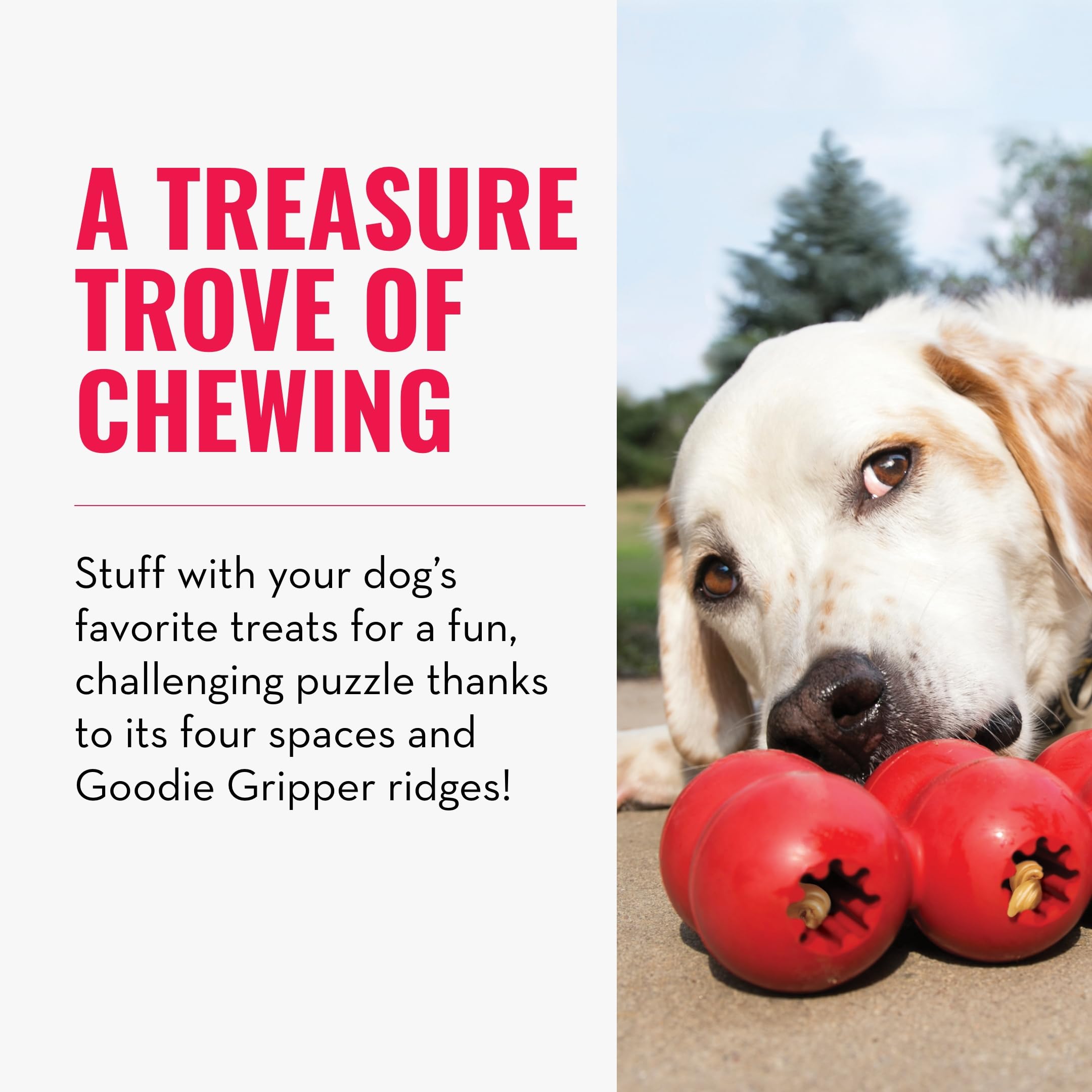 Kong Goodie Ribbon - Stuffable Natural Rubber Dog Toy - With Four Fillable Goodie Grippers For Enrichment Play - Bone-Shaped Che