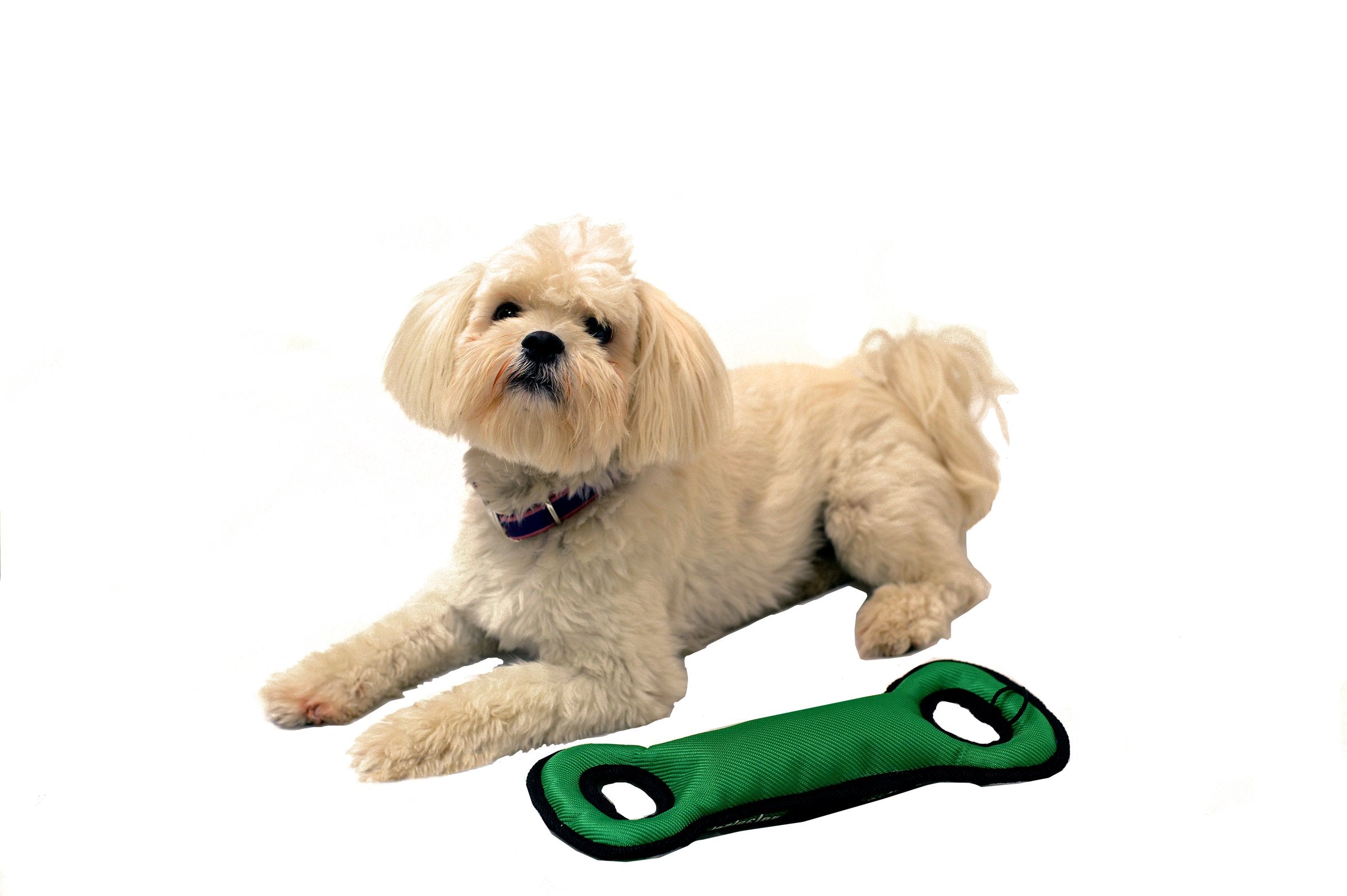 Pets First Nfl Washington Commanders Football Field Dog Toy With Double Rim Stitching & Inner Squeaker, Team Color (Wac-3030)