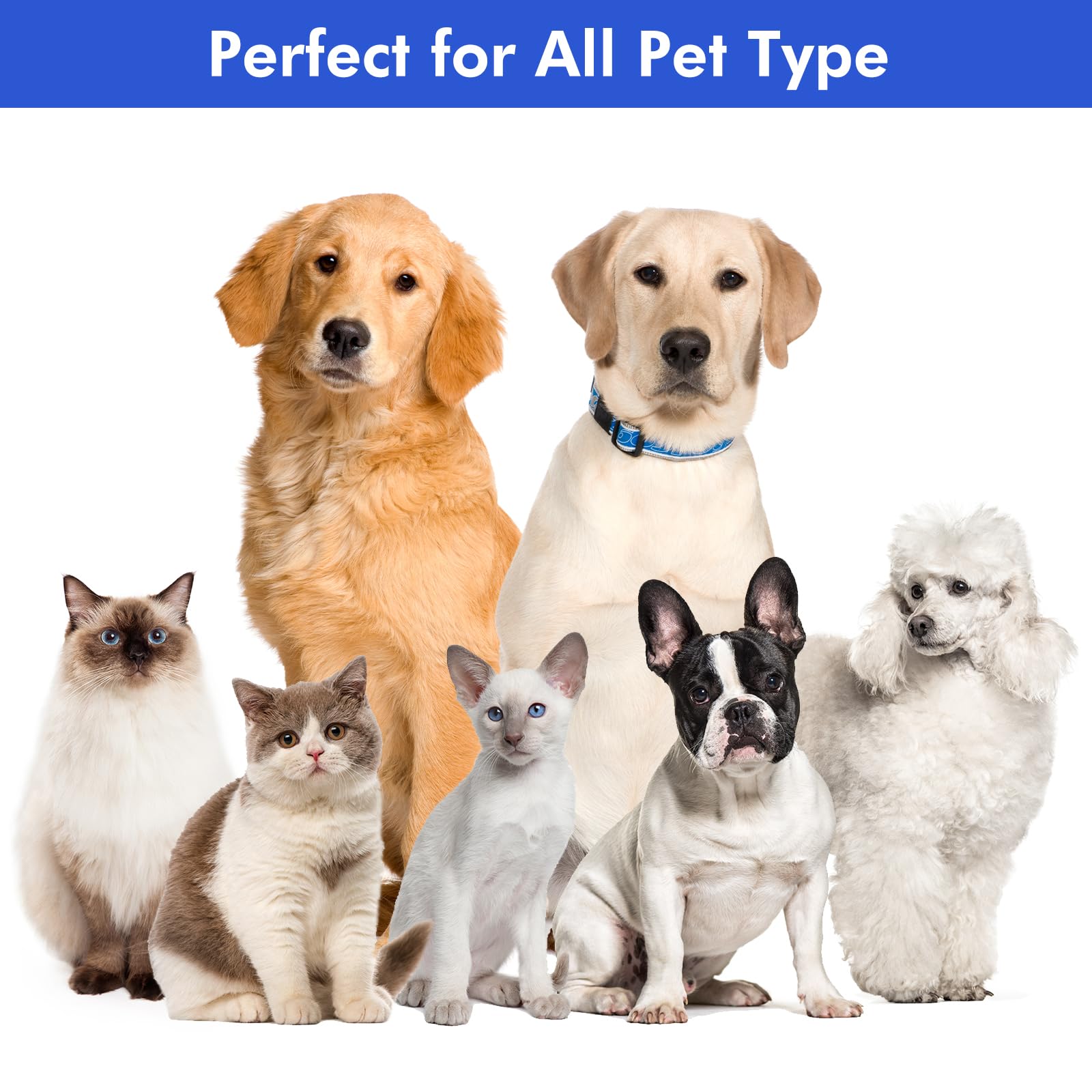 Neakasa By Neabot P1 Pro Pet Grooming Kit & Vacuum Suction 99% Pet Hair With 5 Professional Grooming Shedding Tools For Dogs Cats And Other Animals