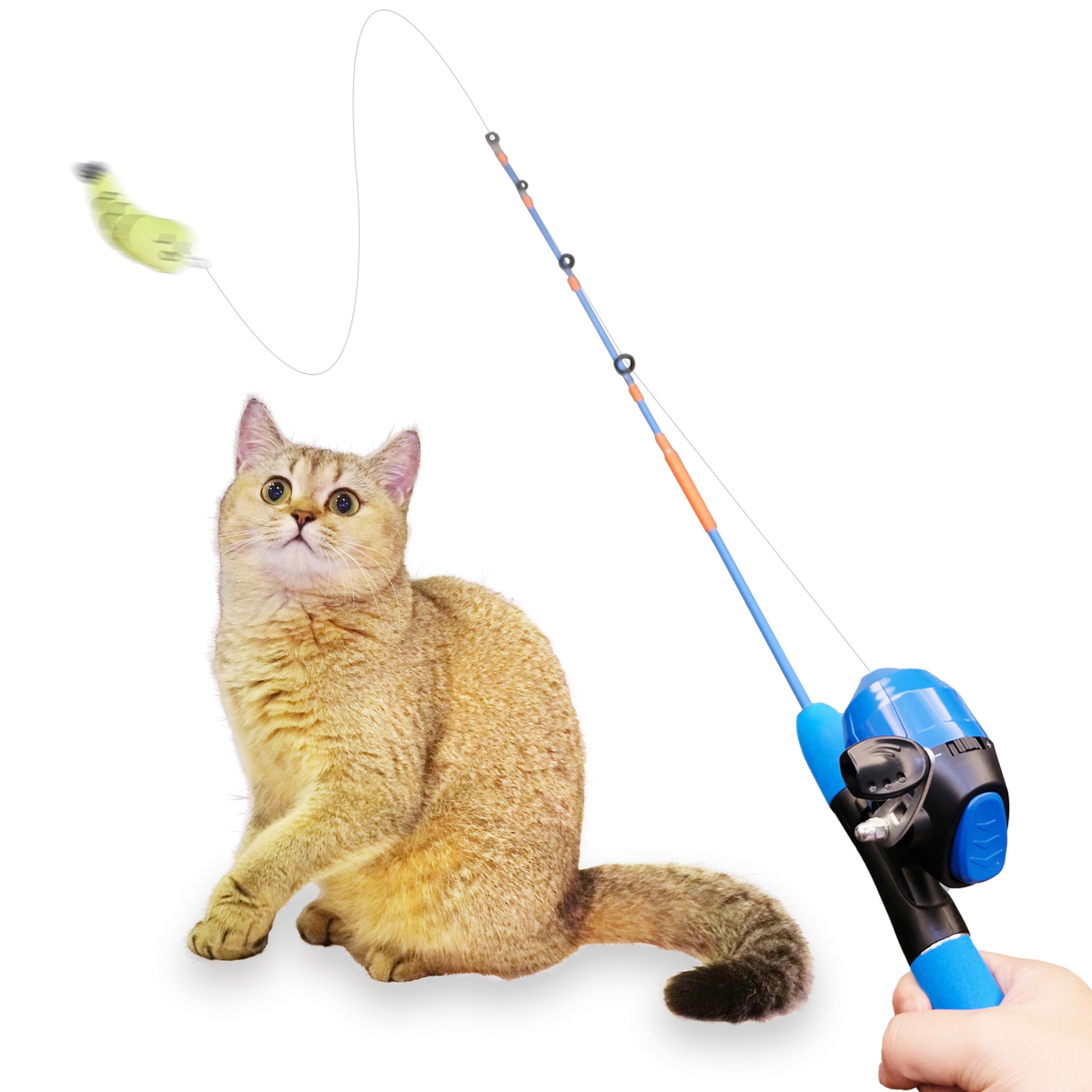Agger Cat Casting Fishing Pole Toy, Cat Casting Toy Set, Interactive Toy For Cats, Tangle-Free Design, Cat Toy For Indoor Outdoo
