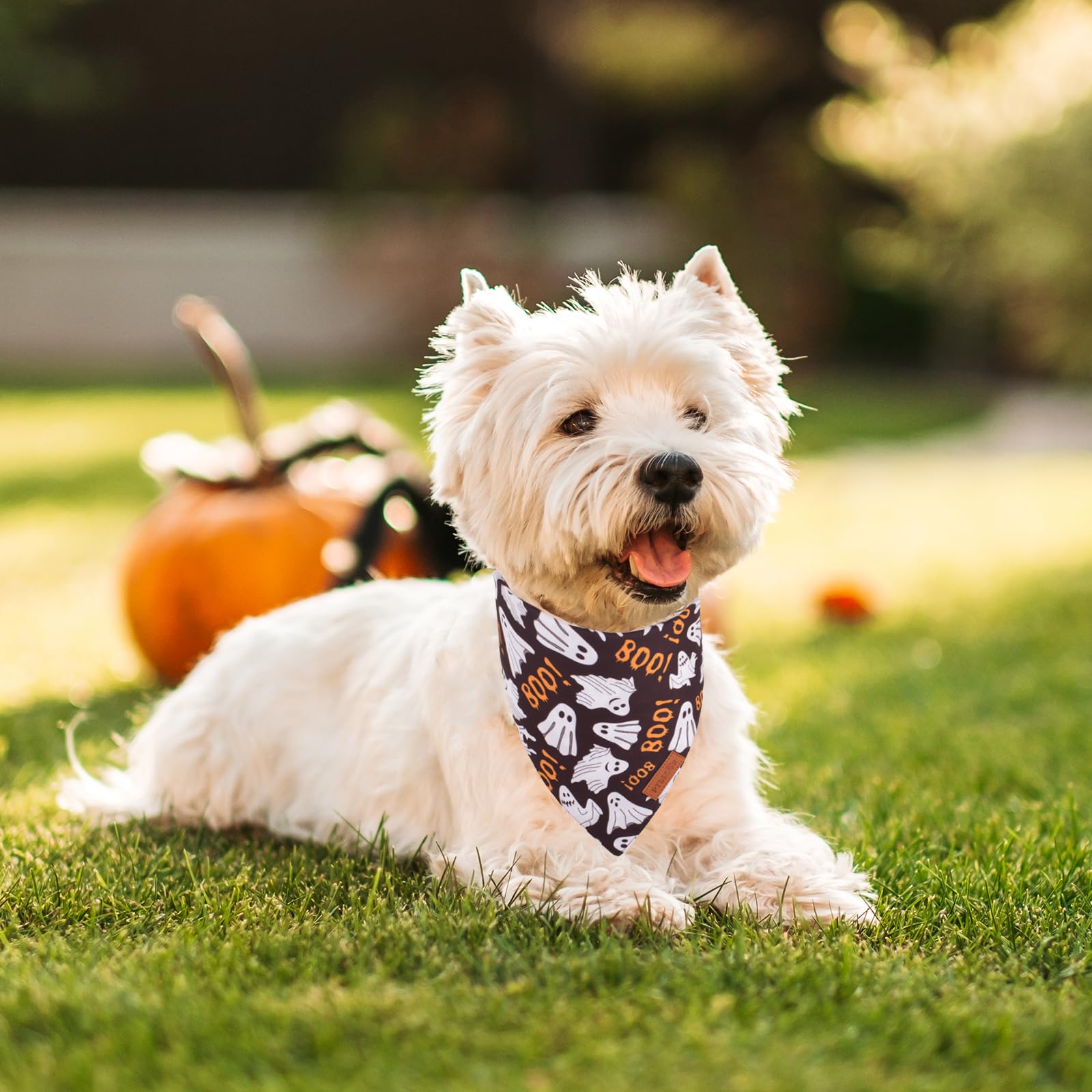 Ptdecor Halloween Dog Bandana, Reversible Holiday Pet Scarf, Multi Size, Triangle Puppy Halloween Bandanas For Small Dogs Puppie