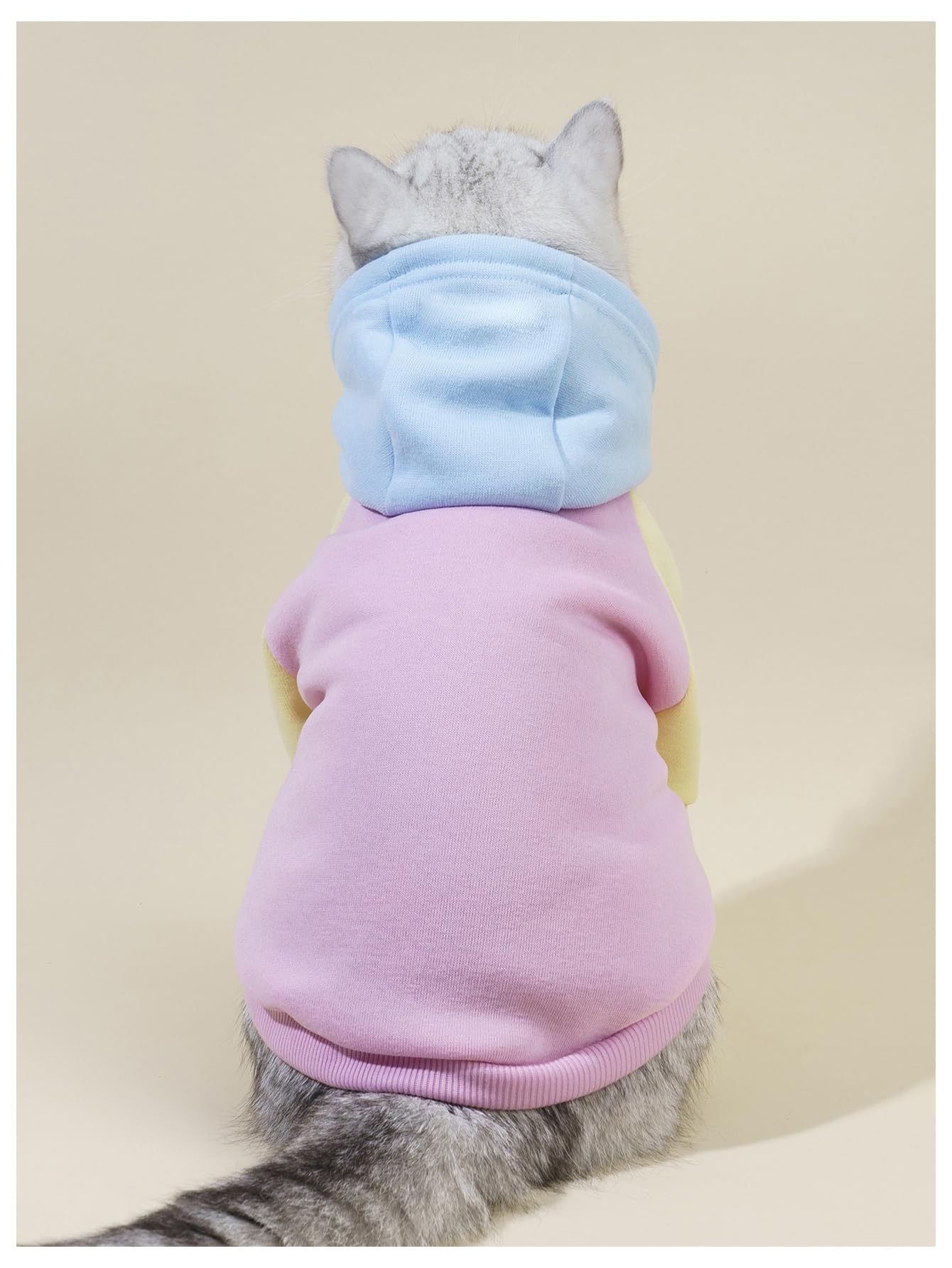 Qwinee Basic Dog Hoodie, Cat Apparel, Dog Shirt, Cat Jacket - Pink, Small To Large