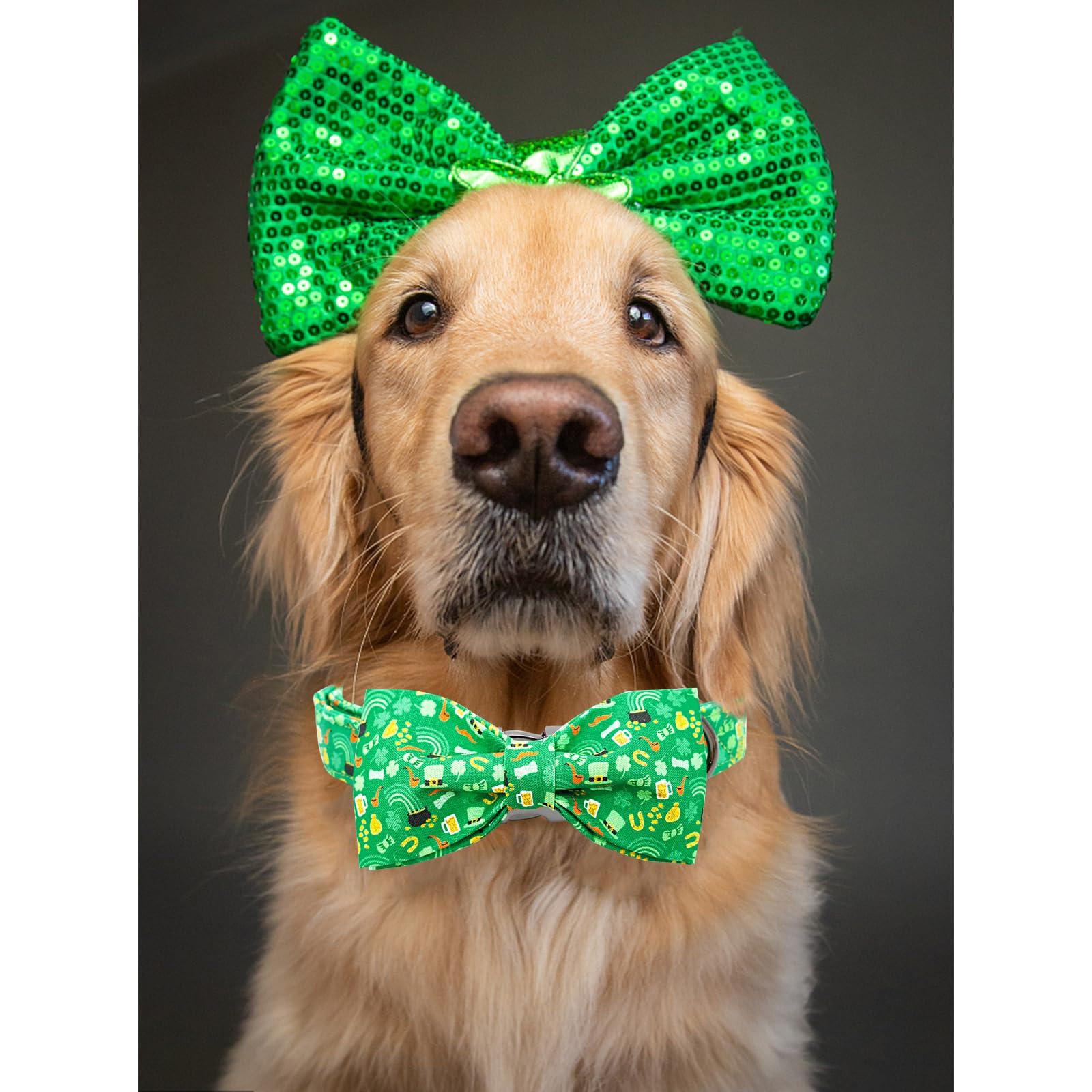 Lionheart Glory Dog Bow Collar St. Patrick'S Day Dog Collar For Medium Dogs, Adjustable Green Collars Lucky Clover Shamrock Dog