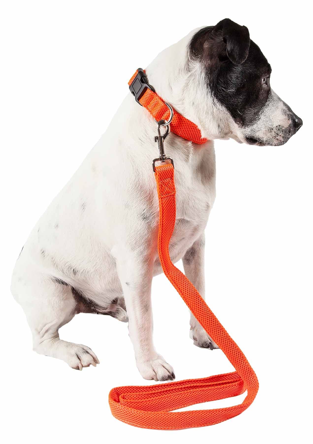 Petlife Aero Mesh 2-In-1 Dual Sided Comfortable And Breathable Adjustable Mesh Dog Leash-Collar, Small, Orange (Clsh14Orsm)
