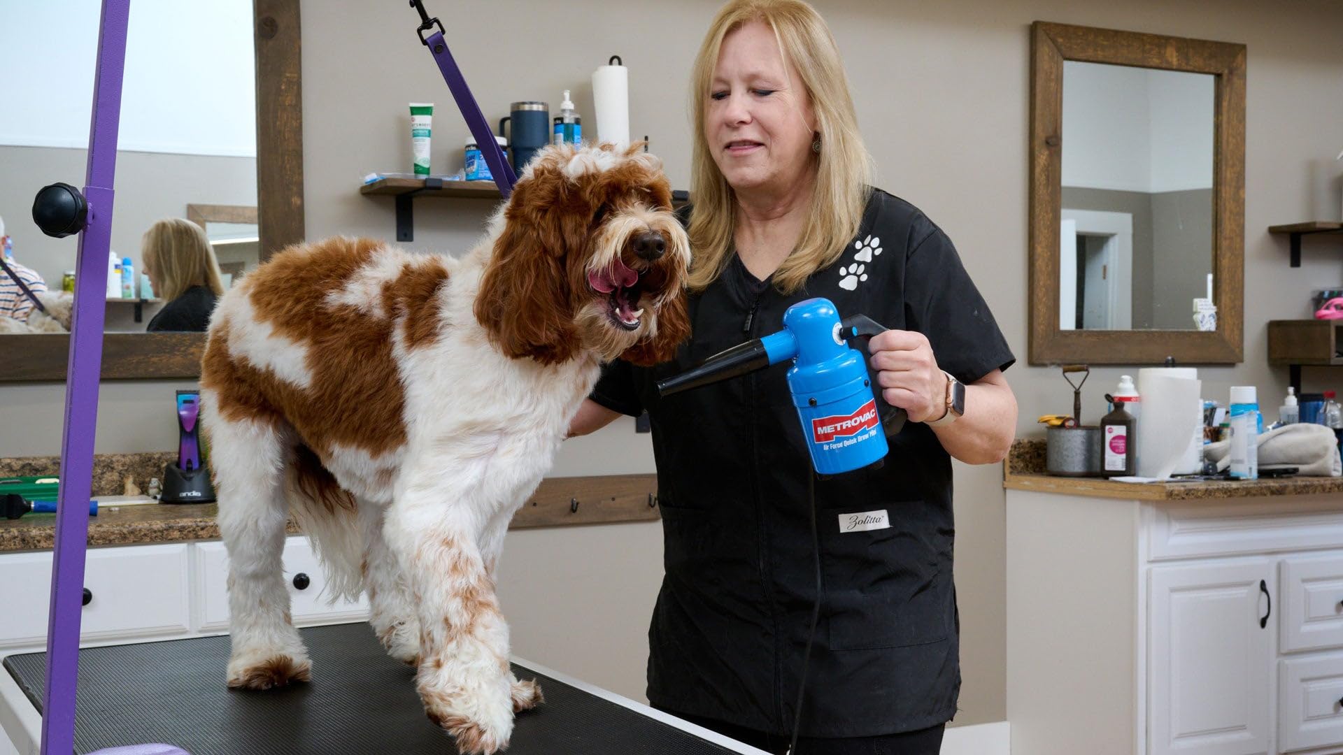 Metrovac Ped-500 Quick Draw Compact Pet Dryer Mini - High-Velocity Airflow, Lightweight And Portable, Quiet Operation, Durable C