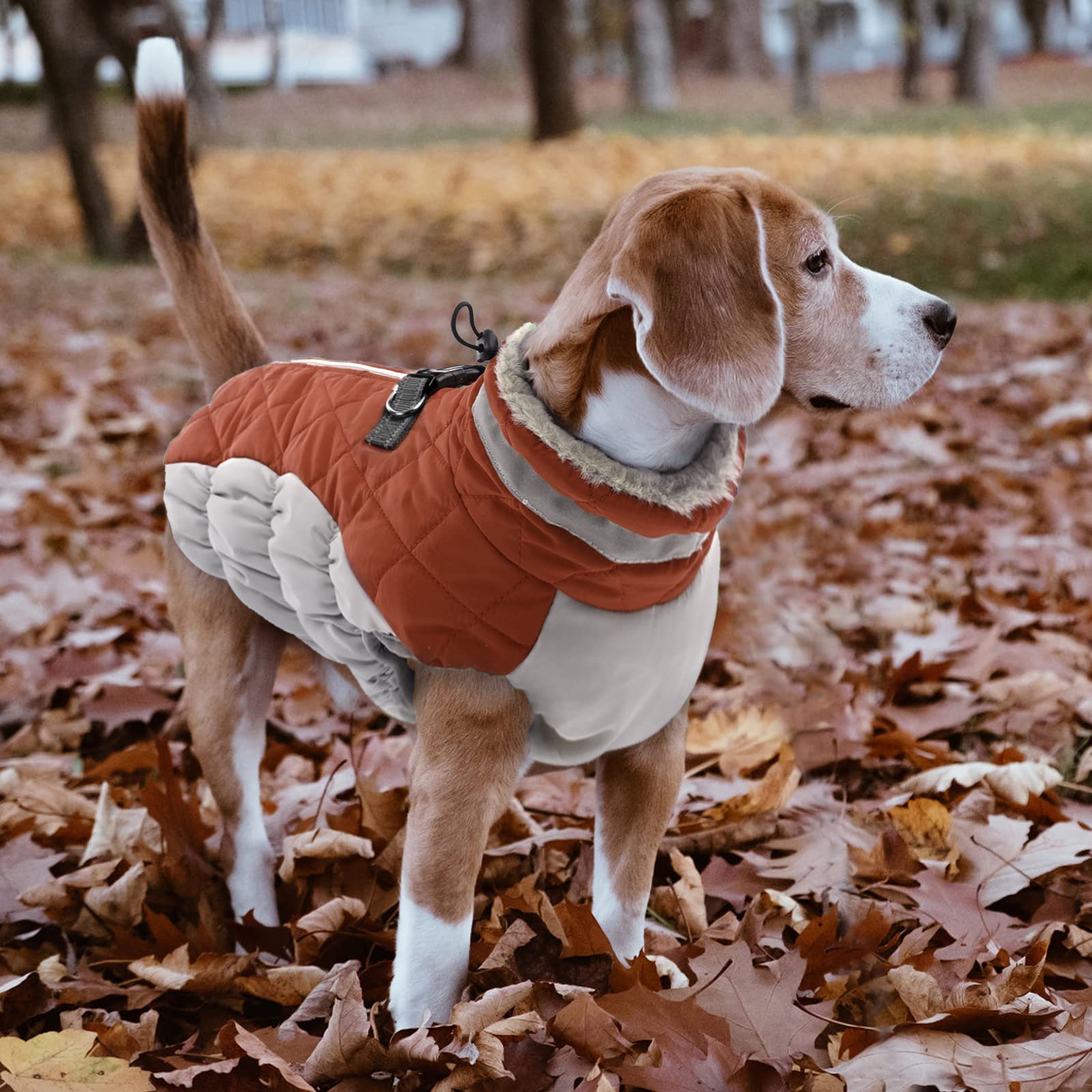 Lelepet Warm Dog Winter Coat Cold Weather Jacket Windproof Reflective Turtleneck Vest With Plush Neckline D-Ring For Leash Thick Fleece Lining Jacket Pet Apparel For Small Medium Large Dogs(X-Small)