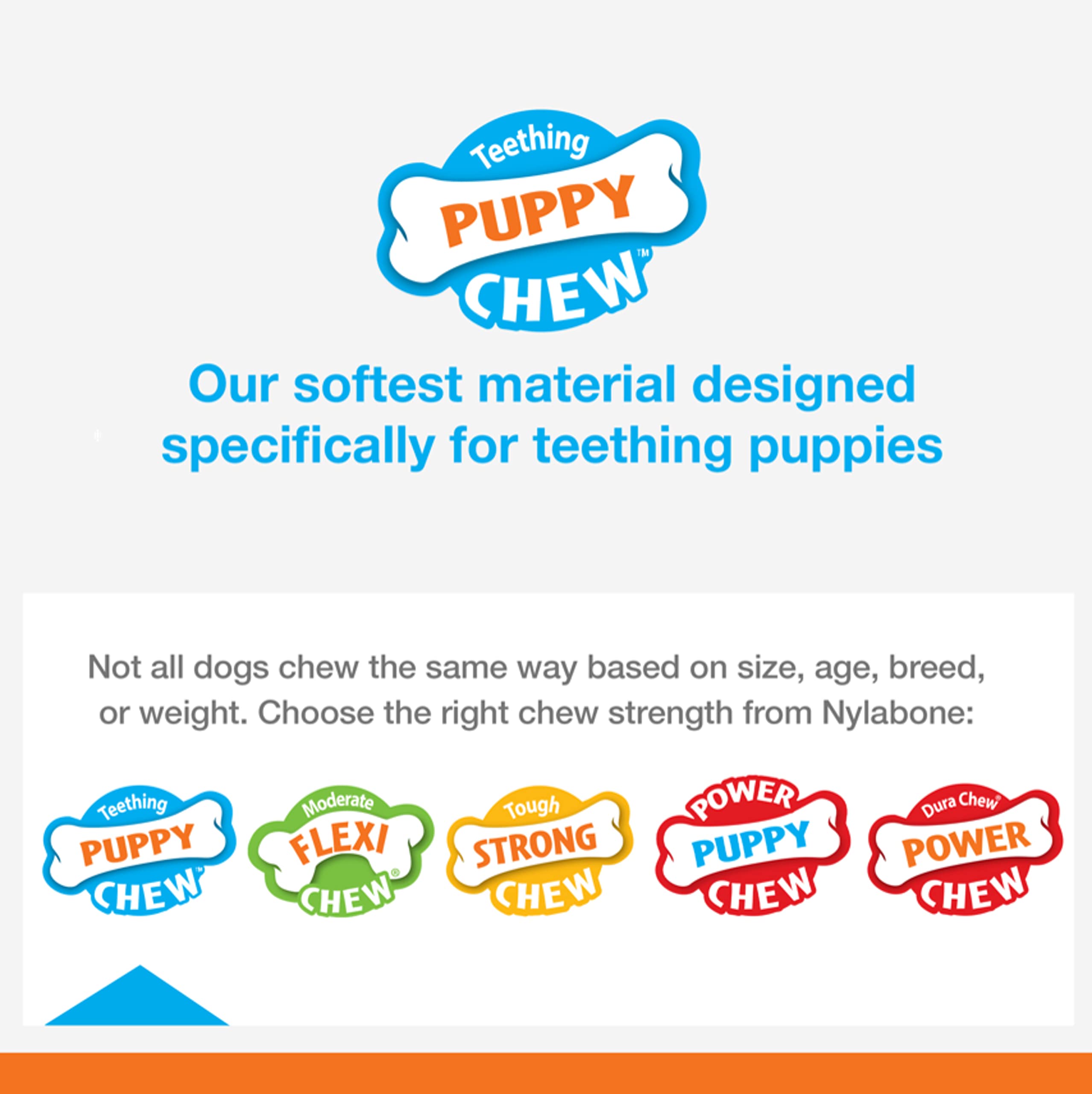 Nylabone 3 Pack of Chill n Chew Puppy Teething Toys, Small, Allergen-Free Peanut Butter Flavor
