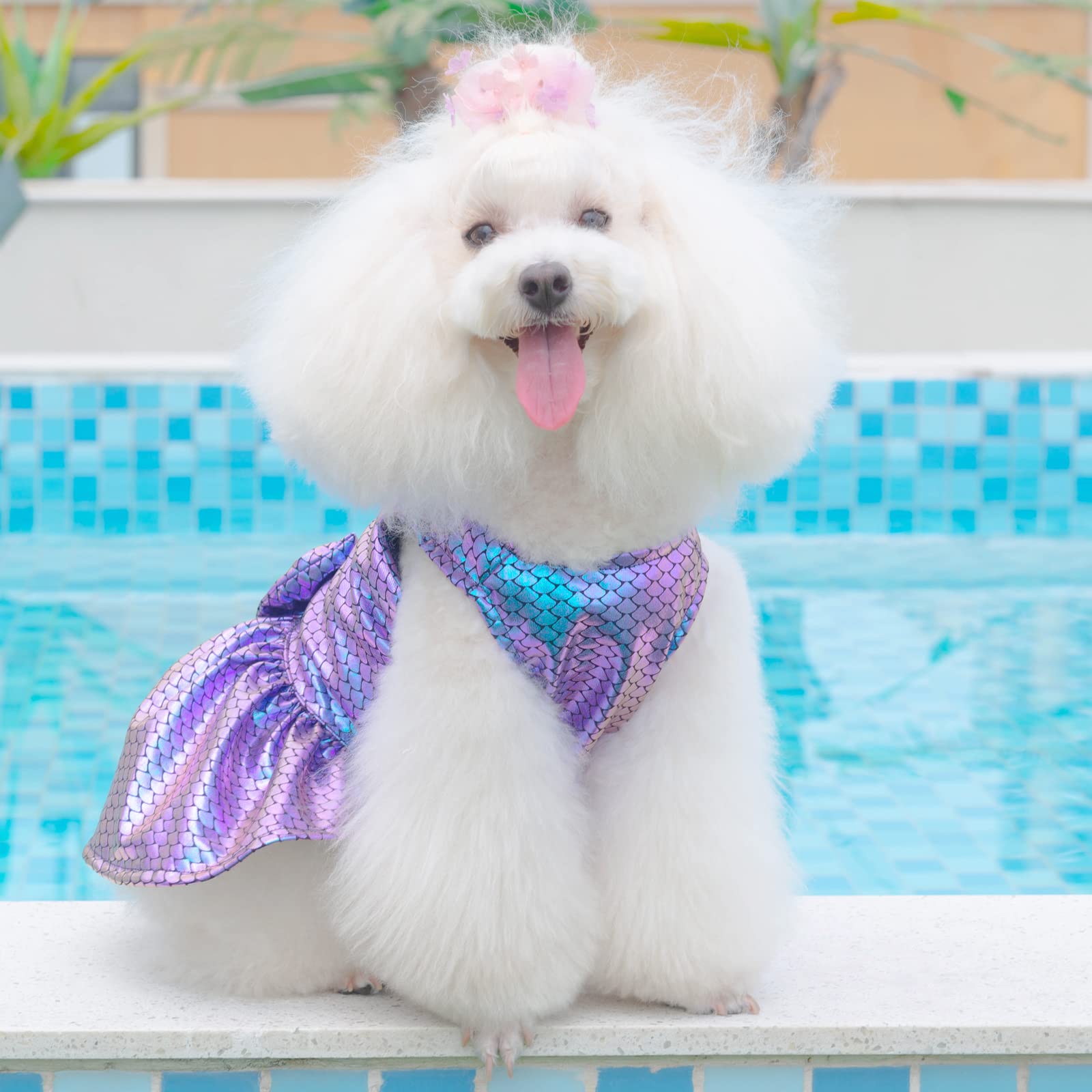 Cutebone Dog Dresses Bling Mermaid Summer Puppy Clothes For Medium Dogs Girl Sequins Skirt Dd10L