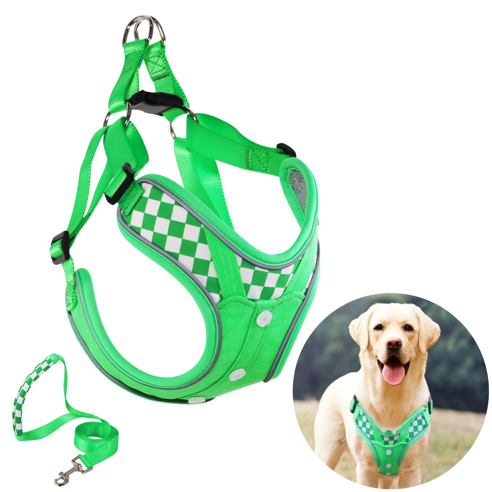 Dog Lovely Harness with Leash Set, Adjustable Step in with Breathable Padded Puppy Harness for Large Medium Dogs (L Green)