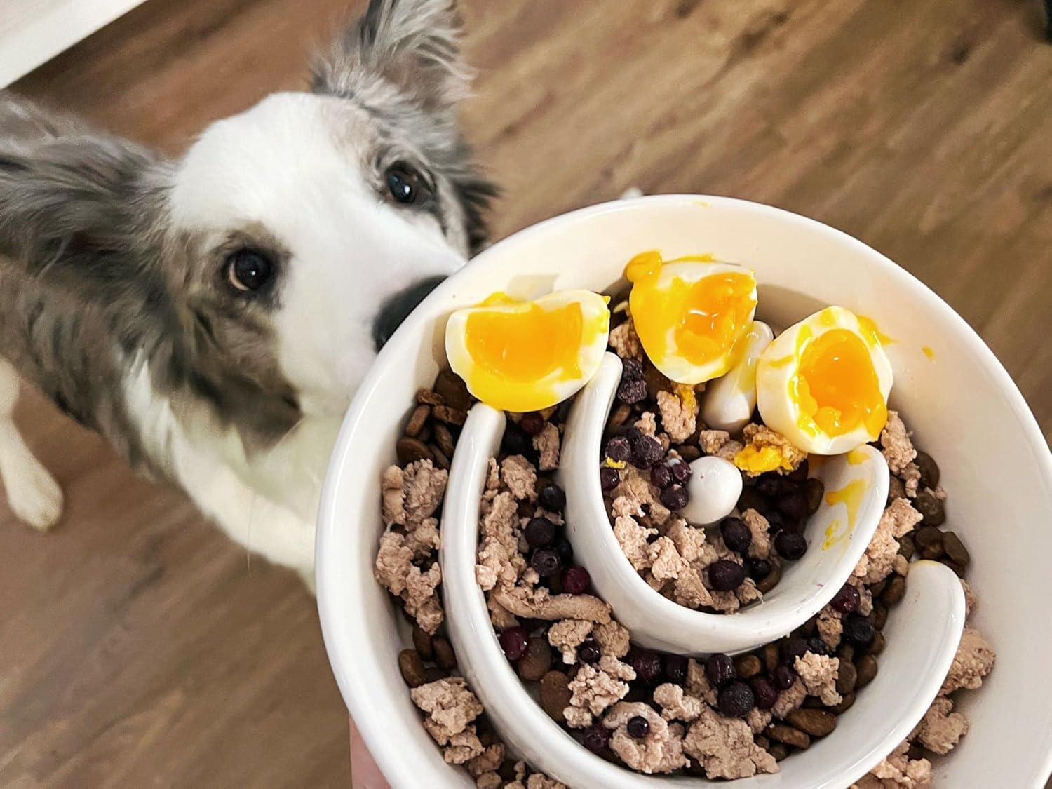 Slow Feeder Dog Bowl With Wooden Stand - 3 Cup Ceramic Raised Bowl For Medium Large Breed Dogs, Puzzle Feeder To Slow Down Eatin