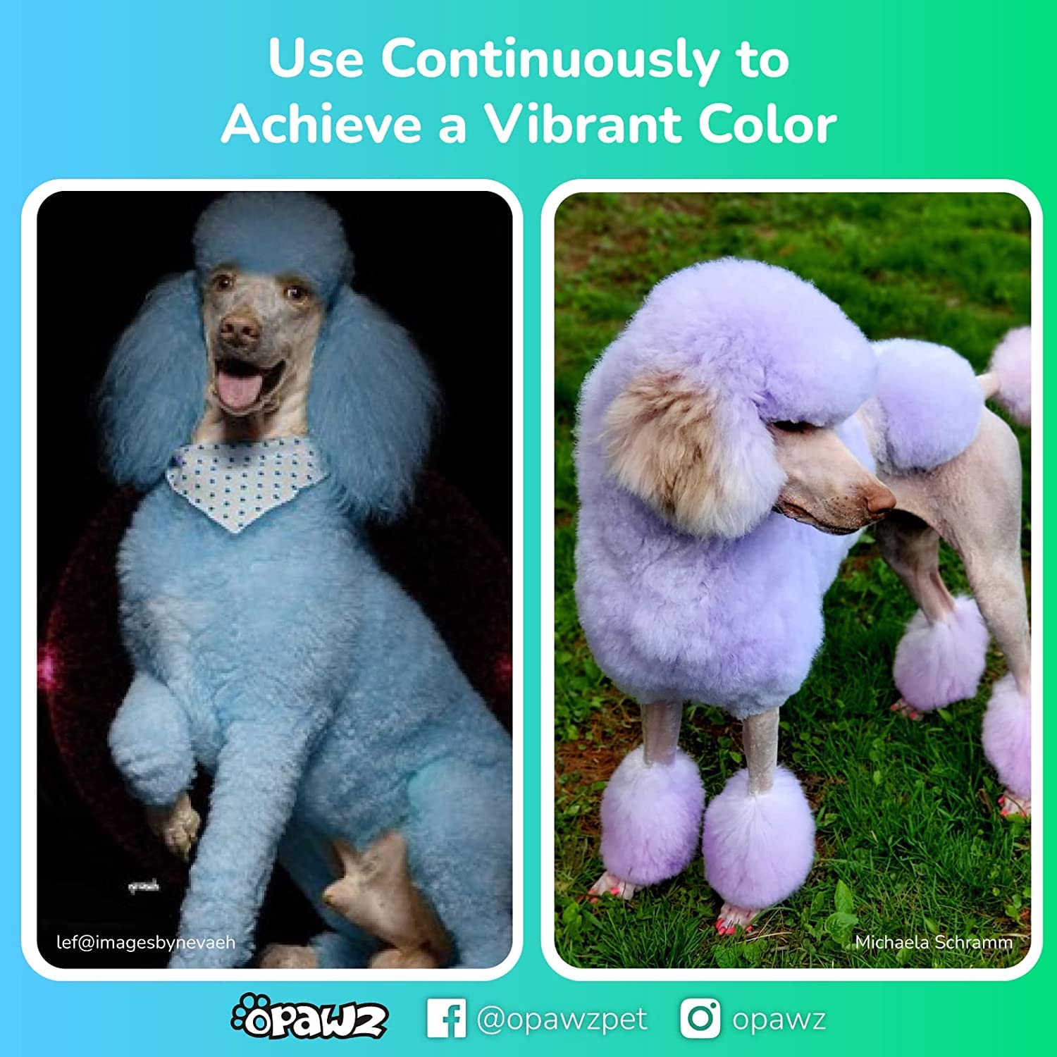 Opawz Color Depositing Shampoo For Dogs, Semi-Permanent Hair Dye Coloring, Non-Toxic Colorwash For Pets (Vivid Pink, 2.1 Fl.Oz /