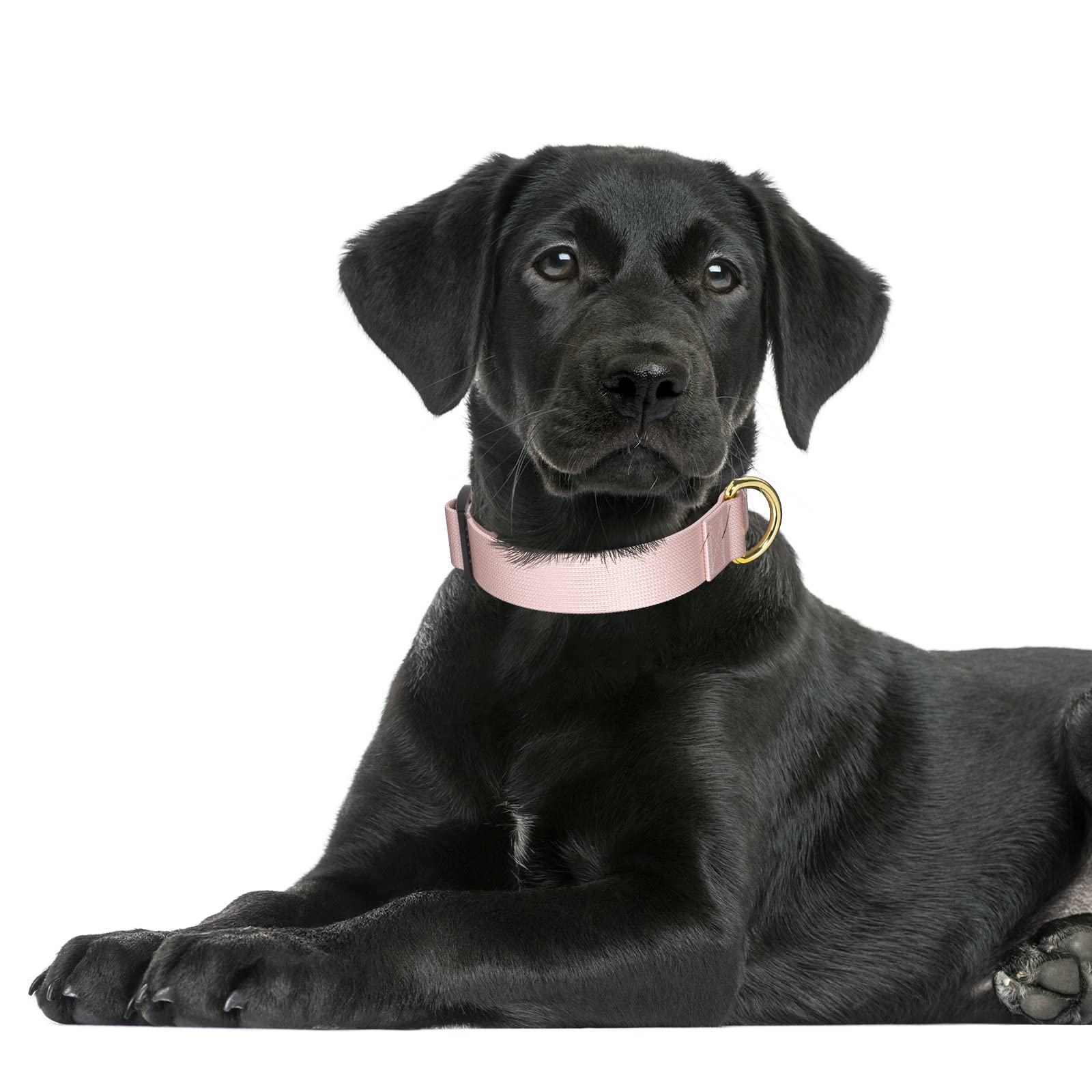 Rnivvi Dog Collar, Adjustable Pink Dog Collar For Large Dogs, Cute Puppy Collar For Boy And Girl Dogs, Classic Heavy Duty Pet Collars With Quick Release Buckle For Walking Running, L Length 1' Width