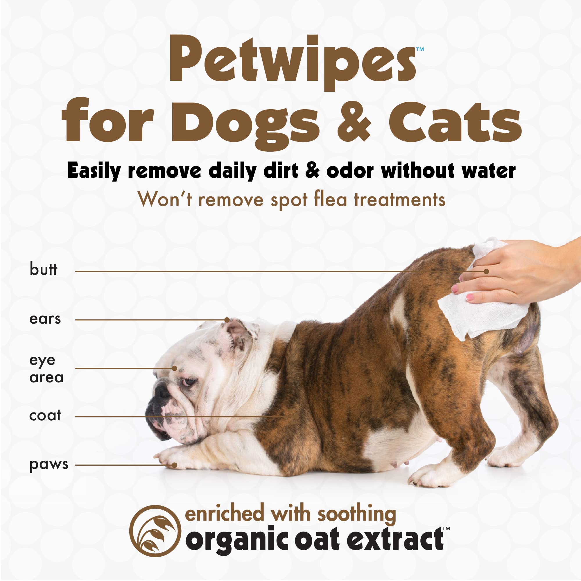 Petkin Pet Wipes for Dogs and Cats, 100 Wipes (Large) - Oatmeal Pet Wipes for Dogs and Cats - Soothes Itchy Dry Skin and Cleans
