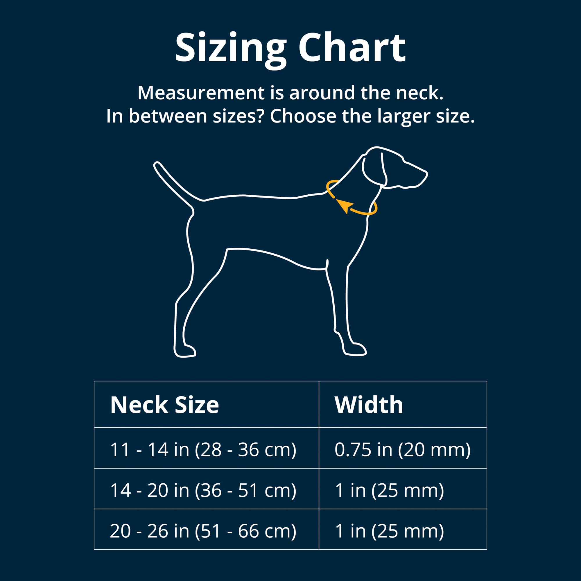 Ruffwear, Top Rope Dog Collar, Reflective Metal Buckle Dog Collar for Everyday Use, River Rock Green, 20-26