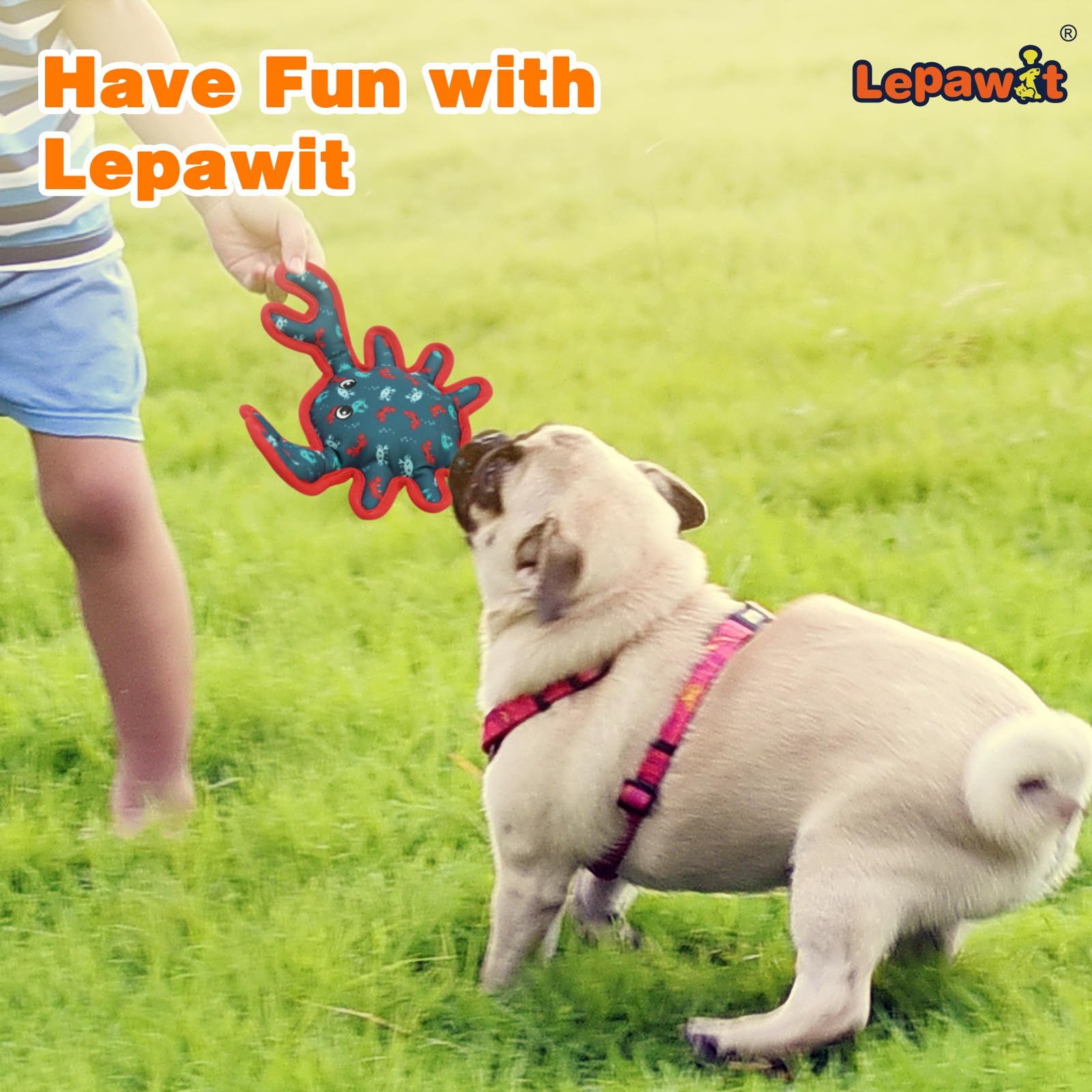 Lepawit Squeaky Dog Toys, Sturdy Dog Toys For Dogs Indoor Play, Cute Crab Interactive Toy For Small And Medium Dogs