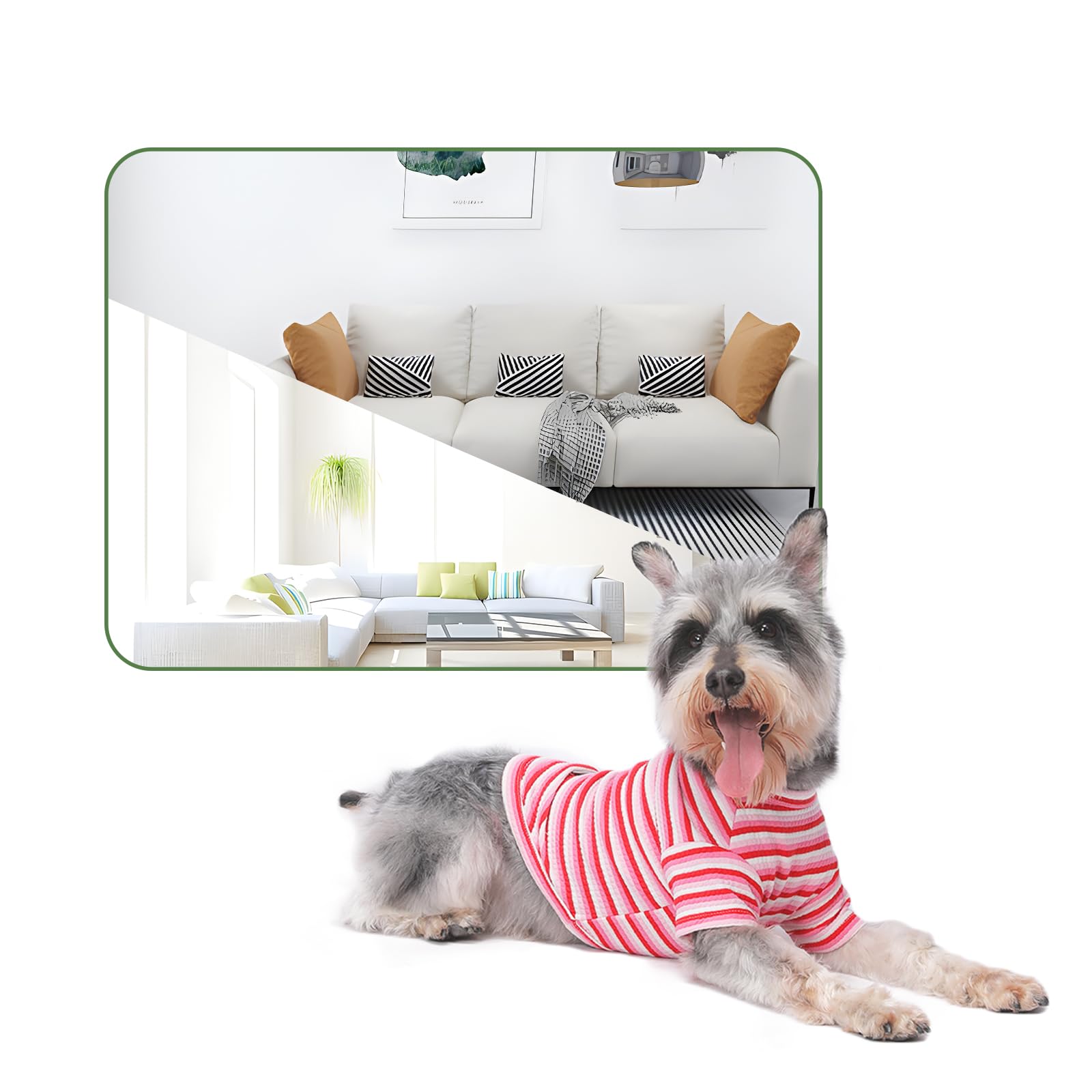 Mengmengda Dog Clothes For Small Dogs, Dog T Shirt For Small Dogs, Dog Cotton Underwear Indoor During Winter, Schnauzer, Chihuah