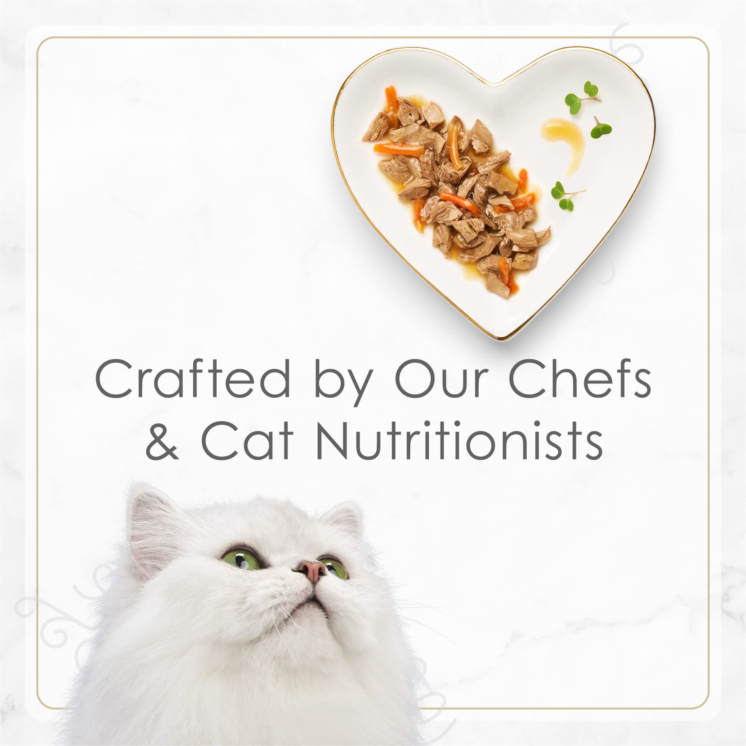 PURINA Fancy Feast Gourmet Gravy Wet Cat Food, Tender Beef with Carrots, 12 Pack (2.8 oz. Tubs)