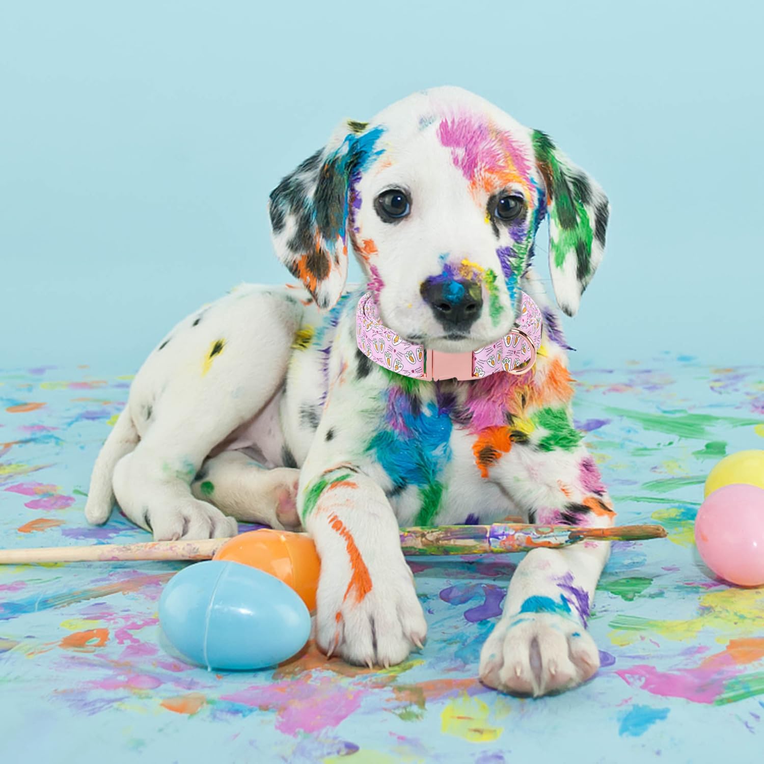 Maca Bates Easter Day Dog Collar Bunny Paws Dogs Collars Breakaway Soft Durable Cute Adjustable Pink Eggs Collor Easters Rabbit