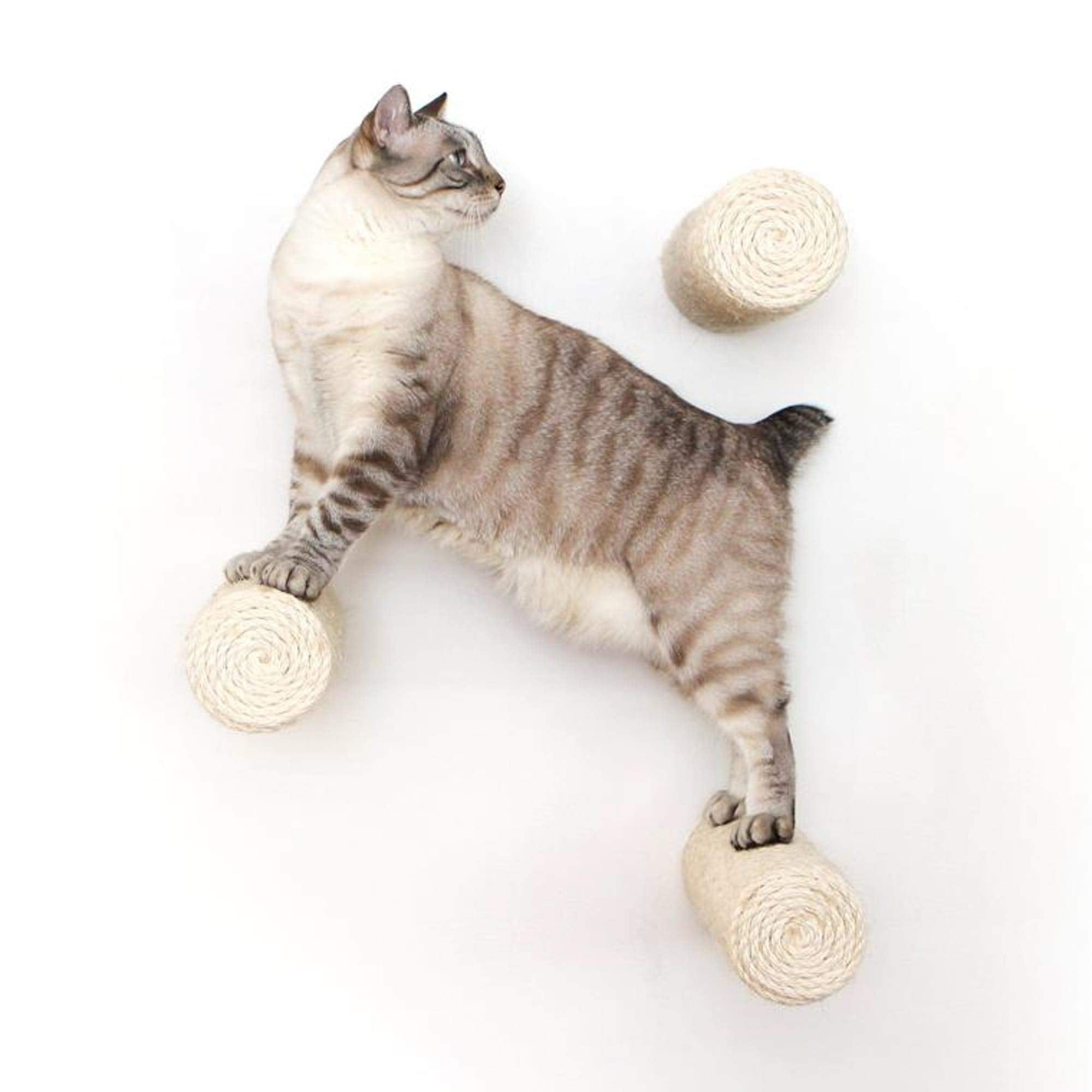 Catastrophic Creations Floating Cat Scratching Post, Hand-Crafted Sisal Cat Scratcher Post, Wall Cat Shelves & Scratching Posts For Indoor Cats, Durable & Modern Cat Furniture (1 Pc, 11” X 4”)