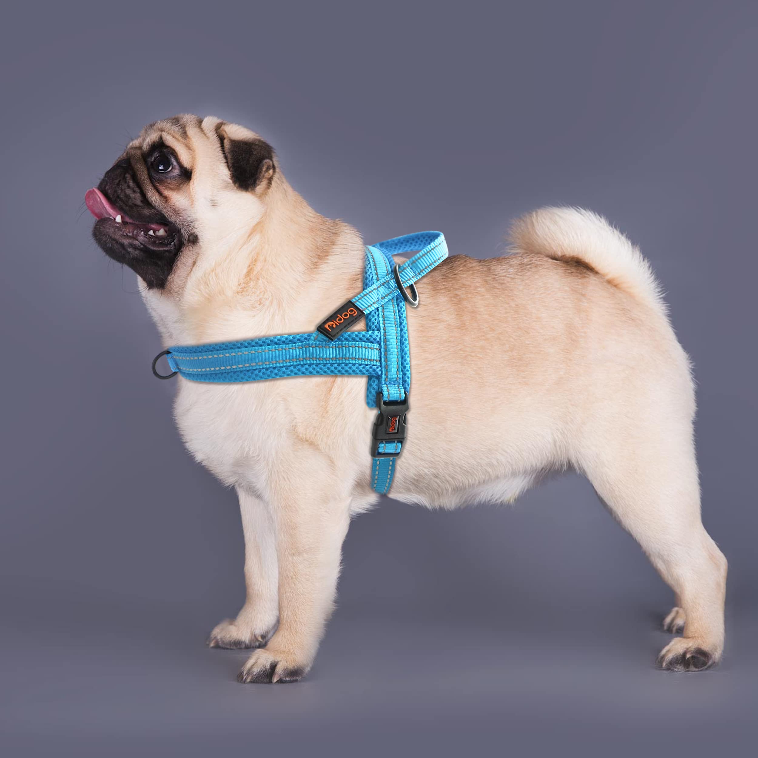 Didog Soft Mesh Padded Dog Vest Harness, Escape Proof/Quick Fit Reflective Dog Strap Harness,Easy For Walking Training (M:Chest 21-26', Mesh-Blue)
