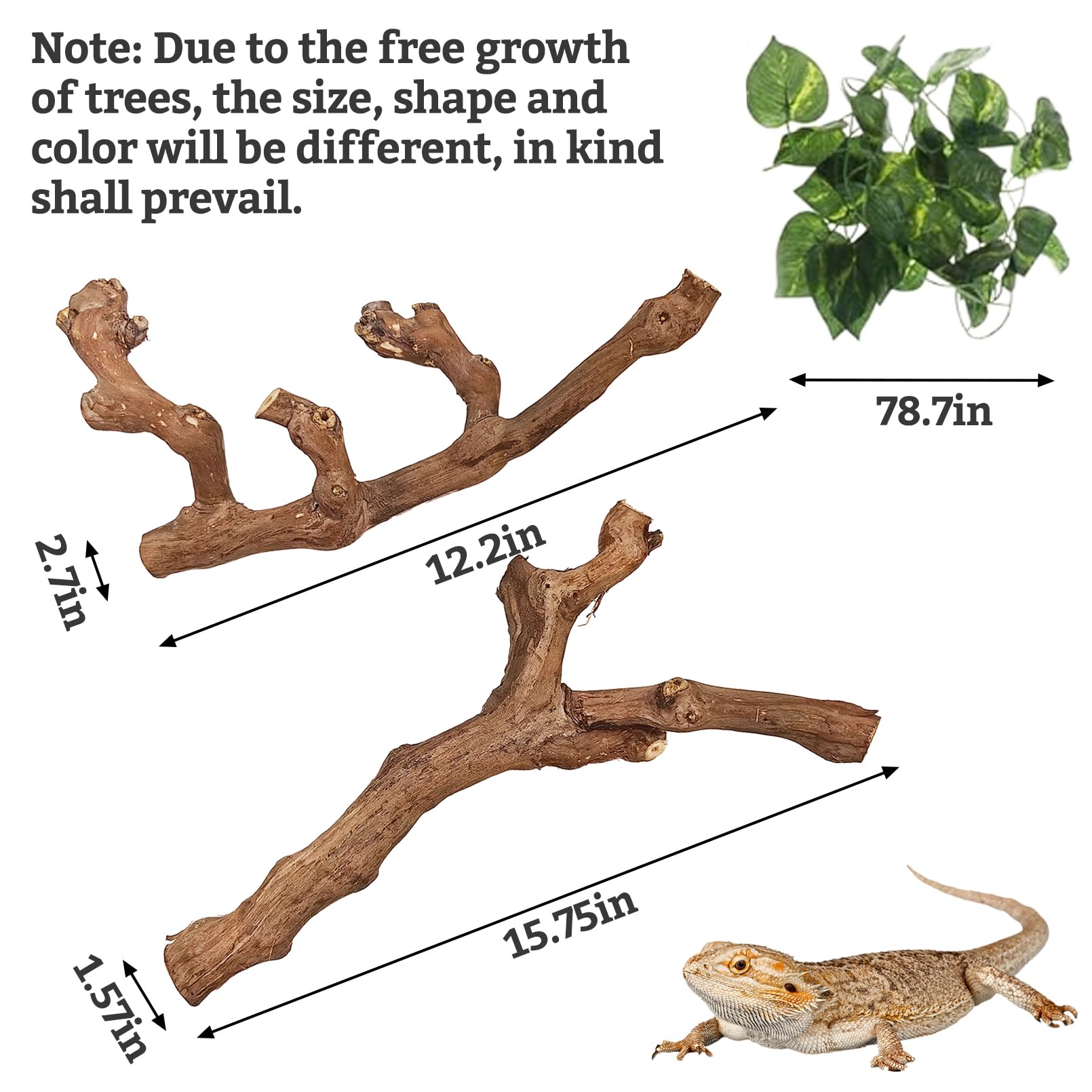 VCEPJH Snake Climbing Branch, 2Pcs Reptile Wood Natural Cork Log Tank Accessories Tree Trunk for Chameleon Bearded Dragon Gecko