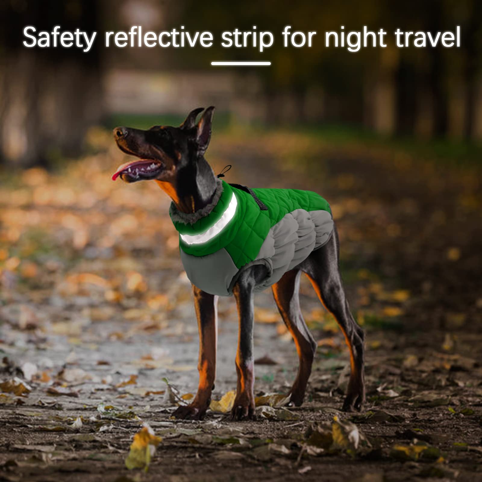 Ouobob Dog Jackets For Medium Dogs,Medium Dog Coat,Warm Dog Winter Coat Zip Up Back,Waterproof Dog Jacket With D-Ring,Dog Cold Weather Coats With Fleece Lined, Dog Snowsuit Pug Boston Terrier Green M