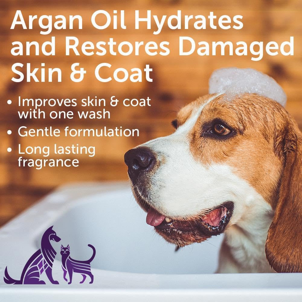 Nootie Pet Shampoo for Sensitive Skin - 16 oz Soft Lily Passion - Gentle Dog Shampoo with Natural Ingredients
