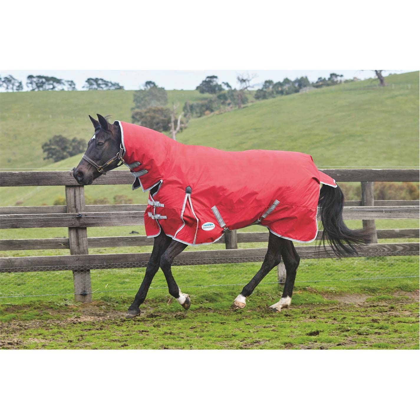 Weatherbeeta Comfitec Classic Combo Neck Medium Horse Blanket, Red/Silver/Navy, 78'