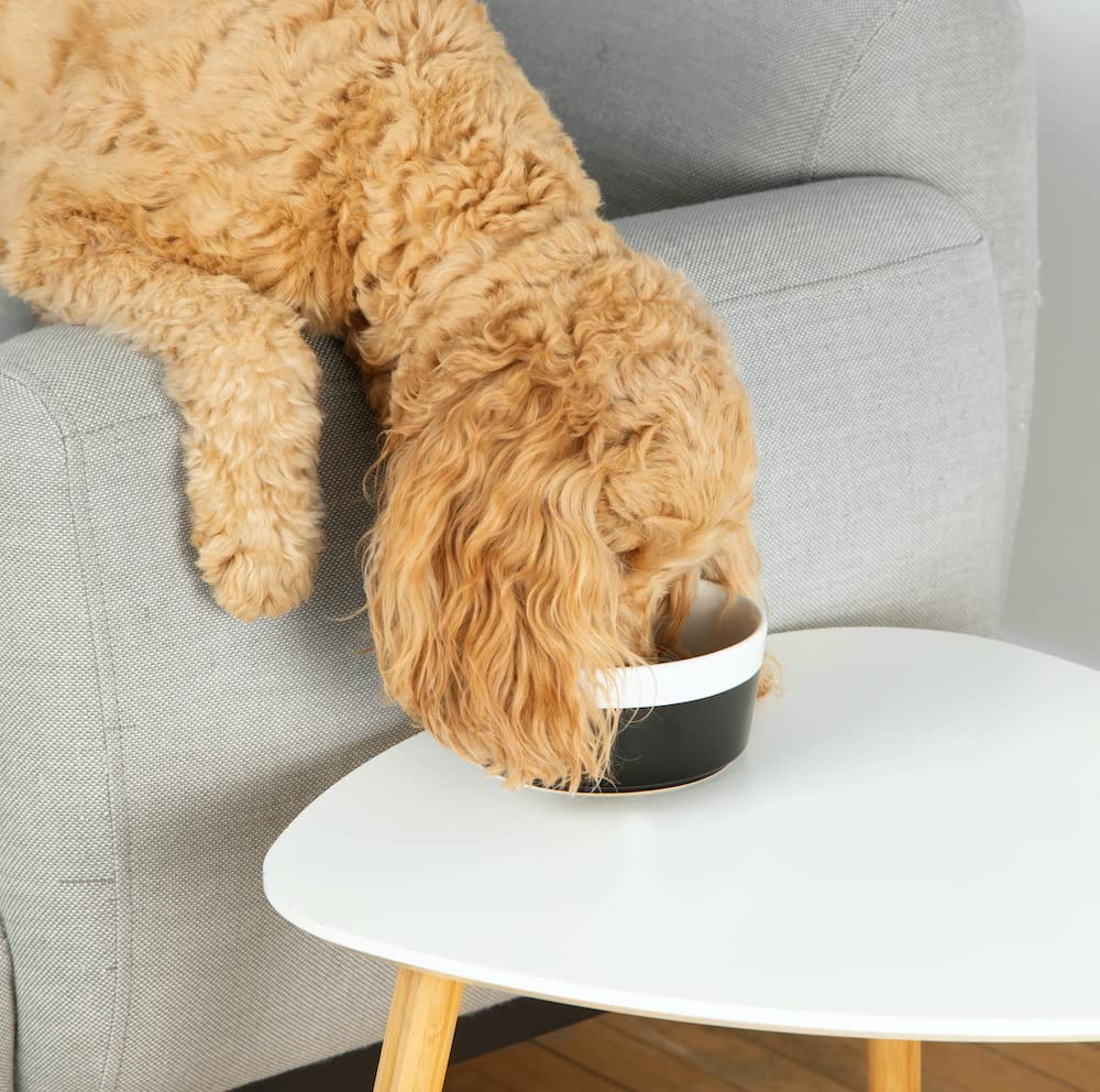 Waggo Dipper Ceramic Dog Bowl for Small and Large Breeds - Heavyweight and Durable Pet Food and Water Dish Crock, Dishwasher Saf