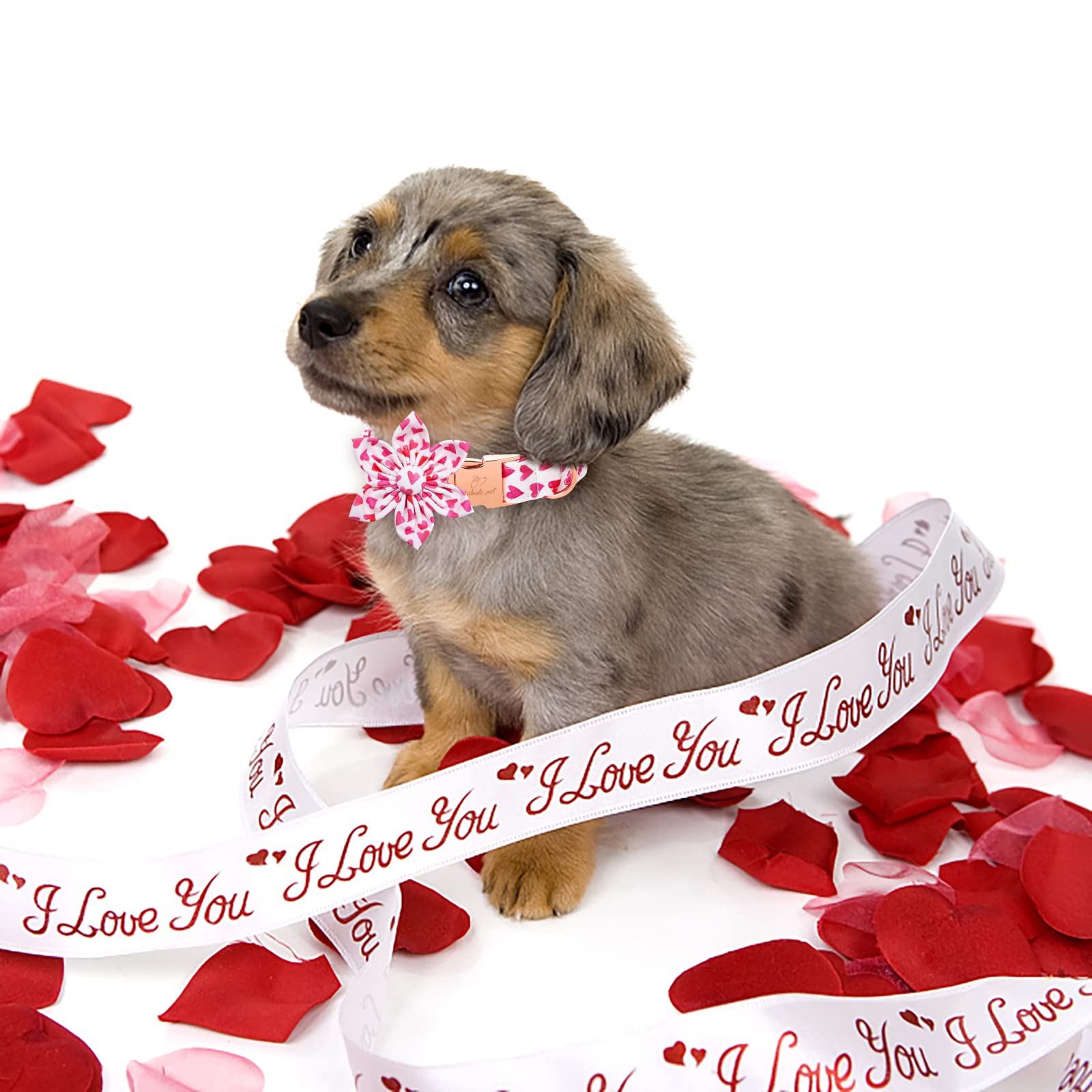 Babole Pet Valentine'S Day Dog Collar With Flower Tie, White Red Love Male Dog Collar With Safety Metal Buckle Adjustable Puppy Collars For Small Medium Large Boy & Girl Dog,M-Neck 13.5'-22'