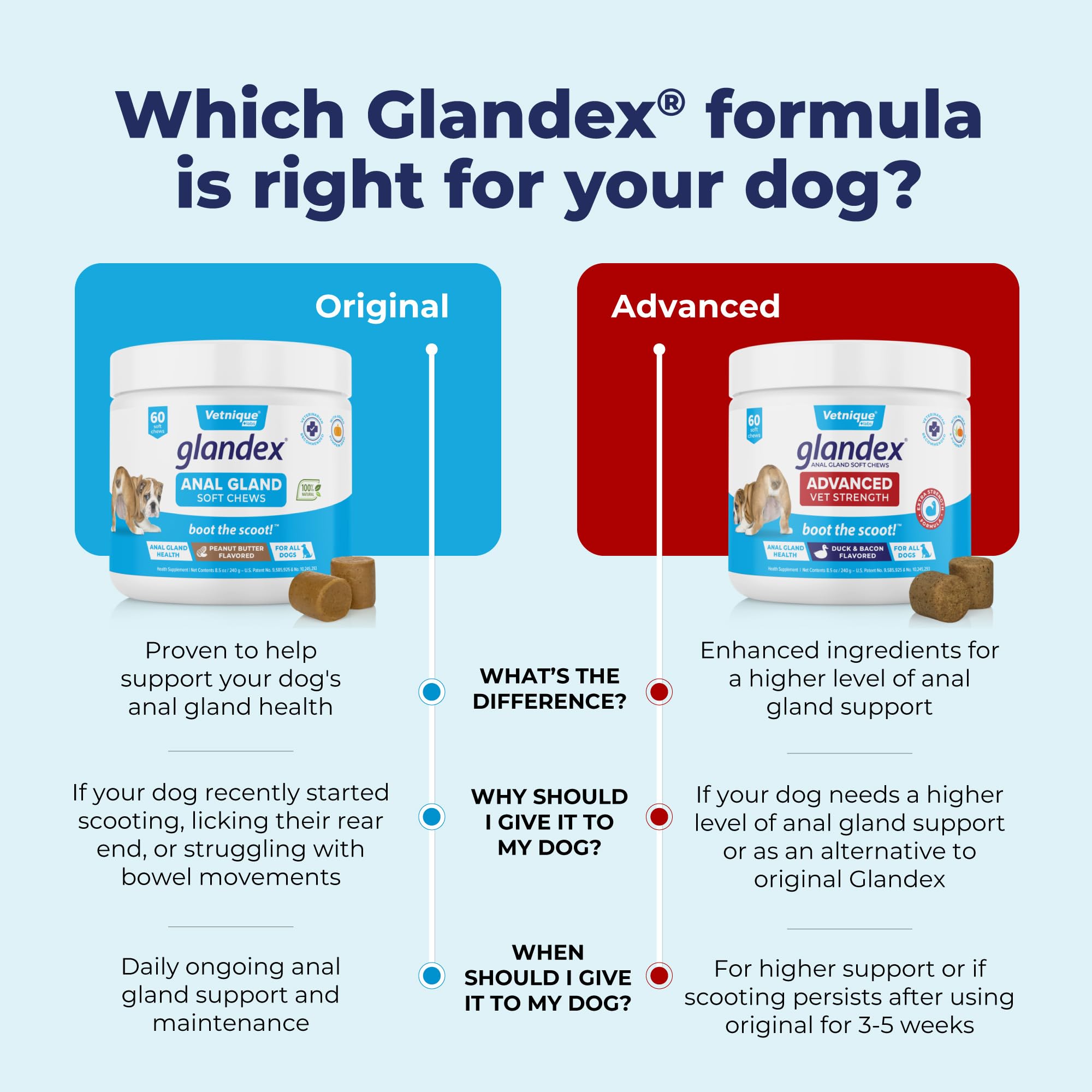 Vetnique Labs Glandex Anal Gland Soft Chew Treats with Pumpkin for Dogs Digestive Enzymes, Probiotics Fiber Supplement for Dogs