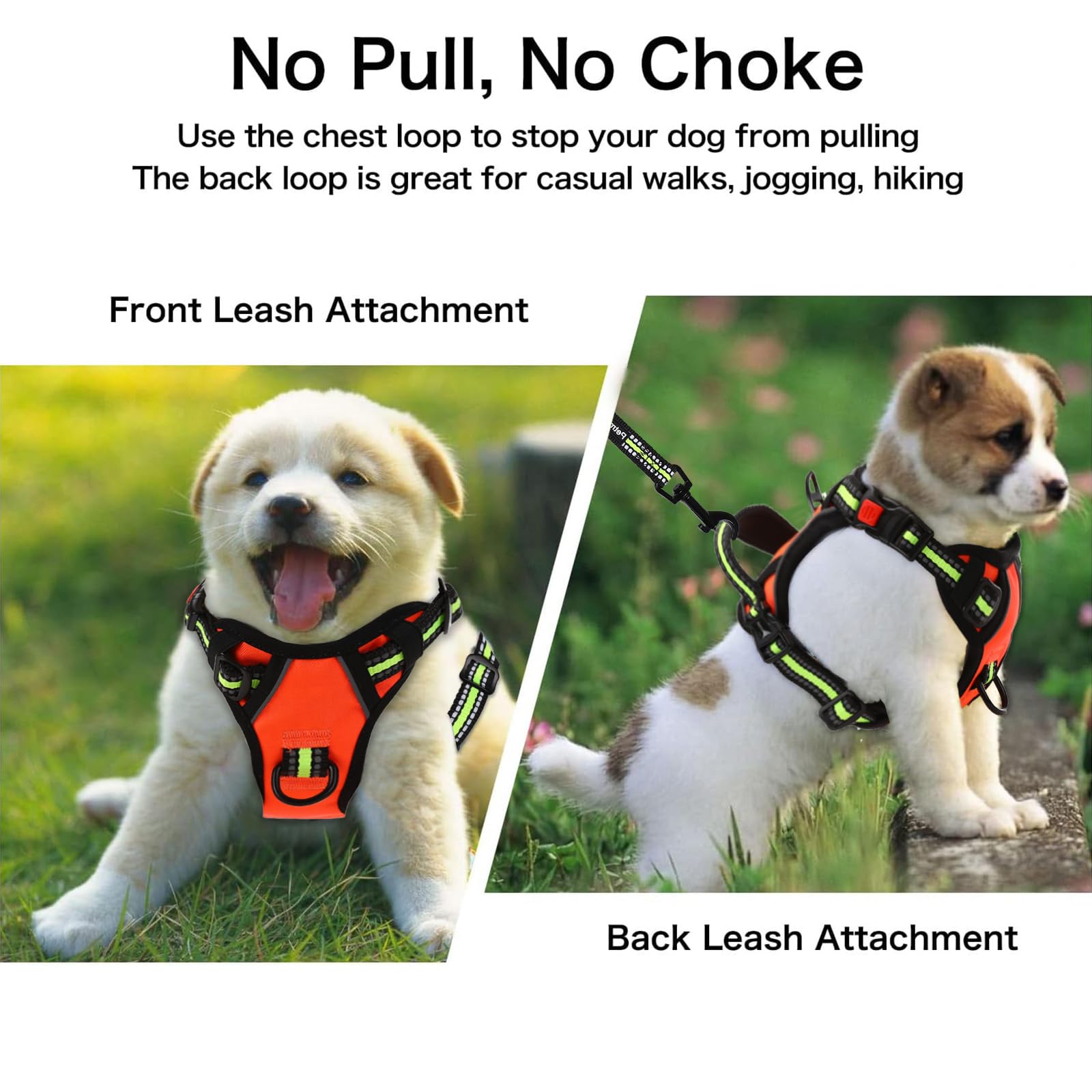 Petmolico No Pull Dog Harness Set, 4 Leash Attchment Easy Control Handle Reflective Vest Dog Harness Small Breed Dogs Harness an
