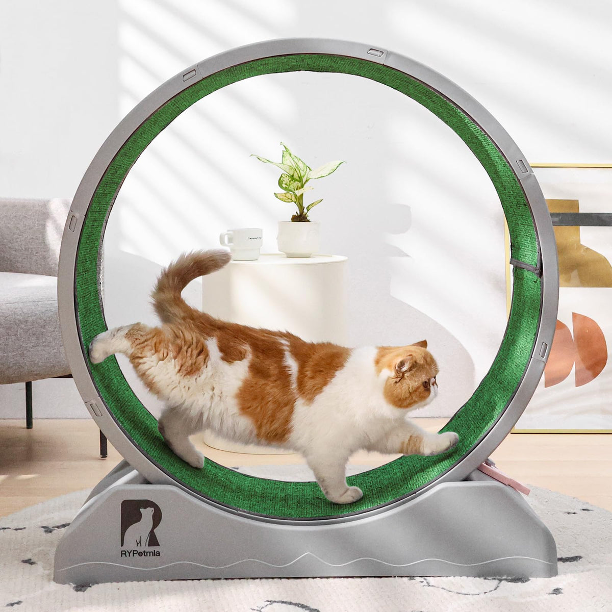 Rypetmia Cat Exercise Wheel, 31.5 Inch Cat Treadmill For Indoor Cats, Cat Running Wheel With Carpeted Runway, Easy To Install & 