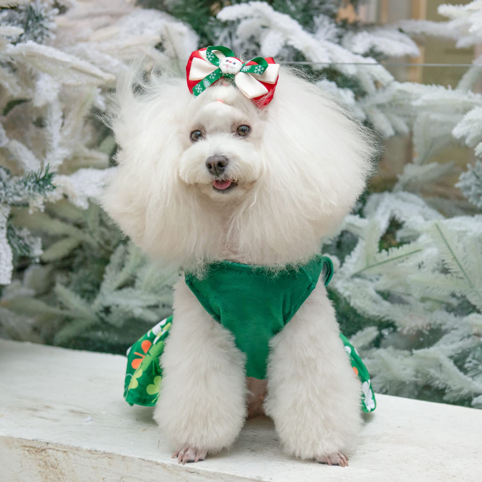 Cutebone St.Patrick'S Day Dog Green Dress Velvet For Small Dogs Girl Puppy Dresses Clover Dog Clothes Cva13L-D