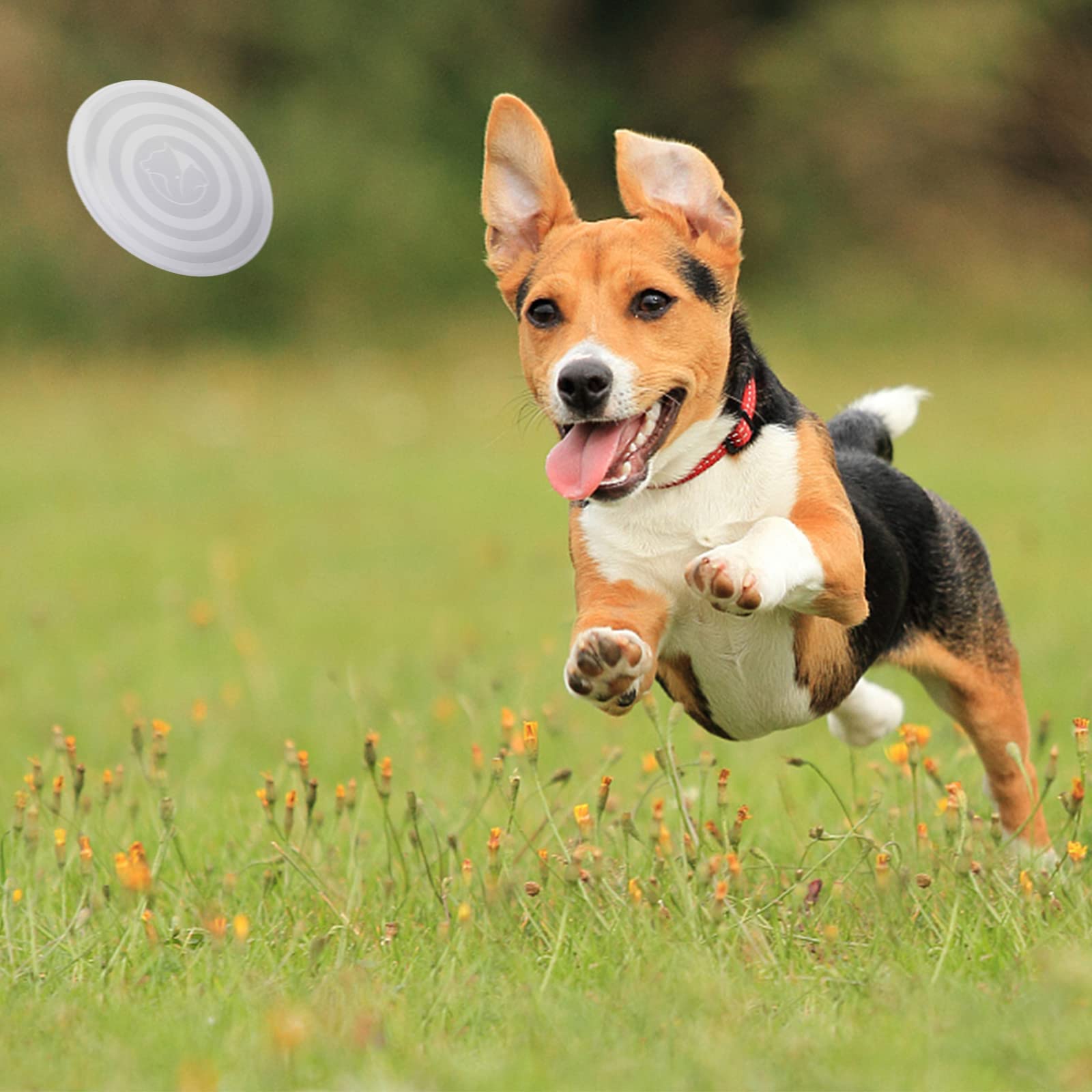Slson Collapsible Pet Feeder, 2 Pack Dog Bowls With Cover Lids, Portable Foldable Cat Water Dish Bowl For Pets, Small, Fairy Pink And Sprout Green