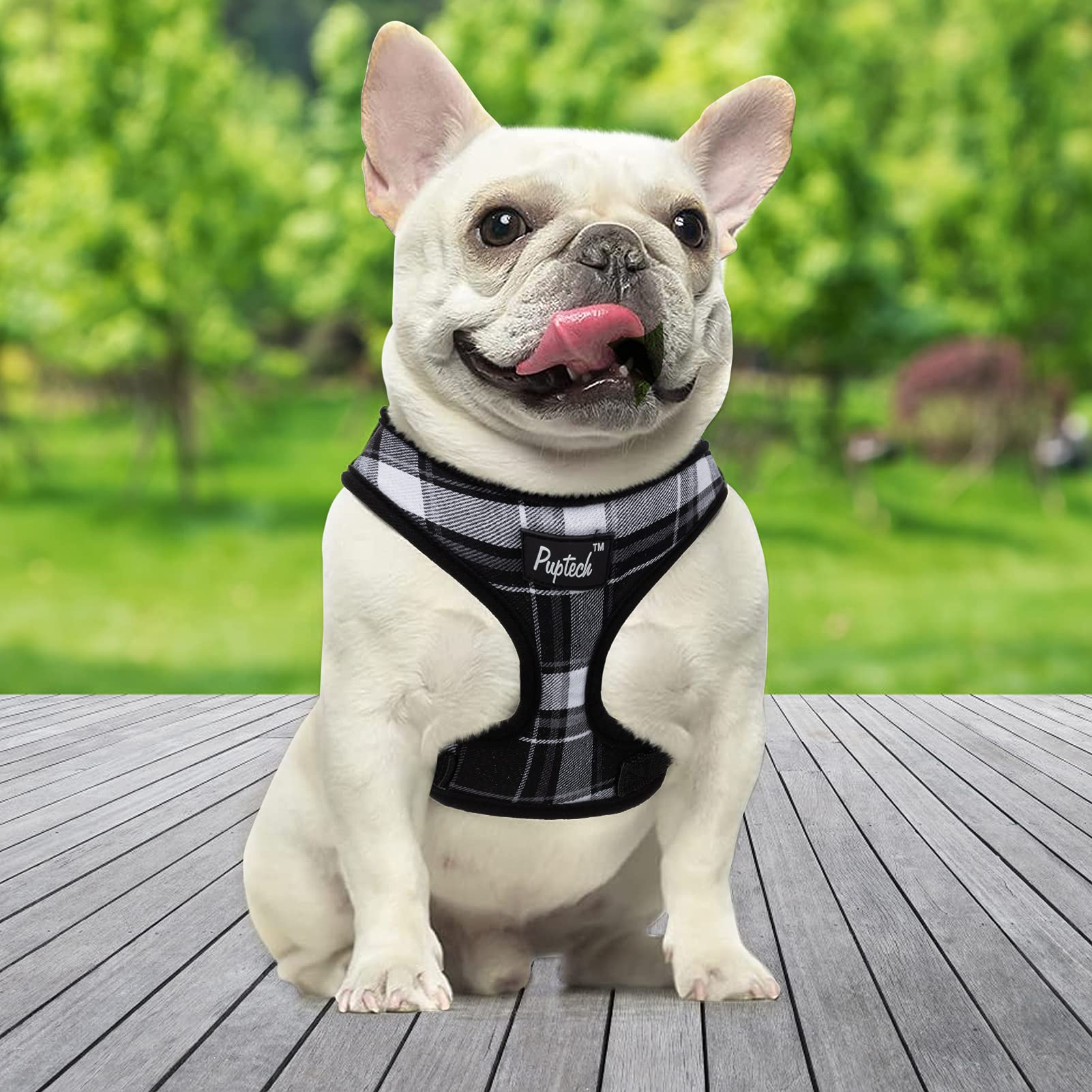 Pupteck Soft Mesh Dog Harness And Leash Set Pet Puppy Cat Comfort Padded Vest No Pull Harnesses, Black, S