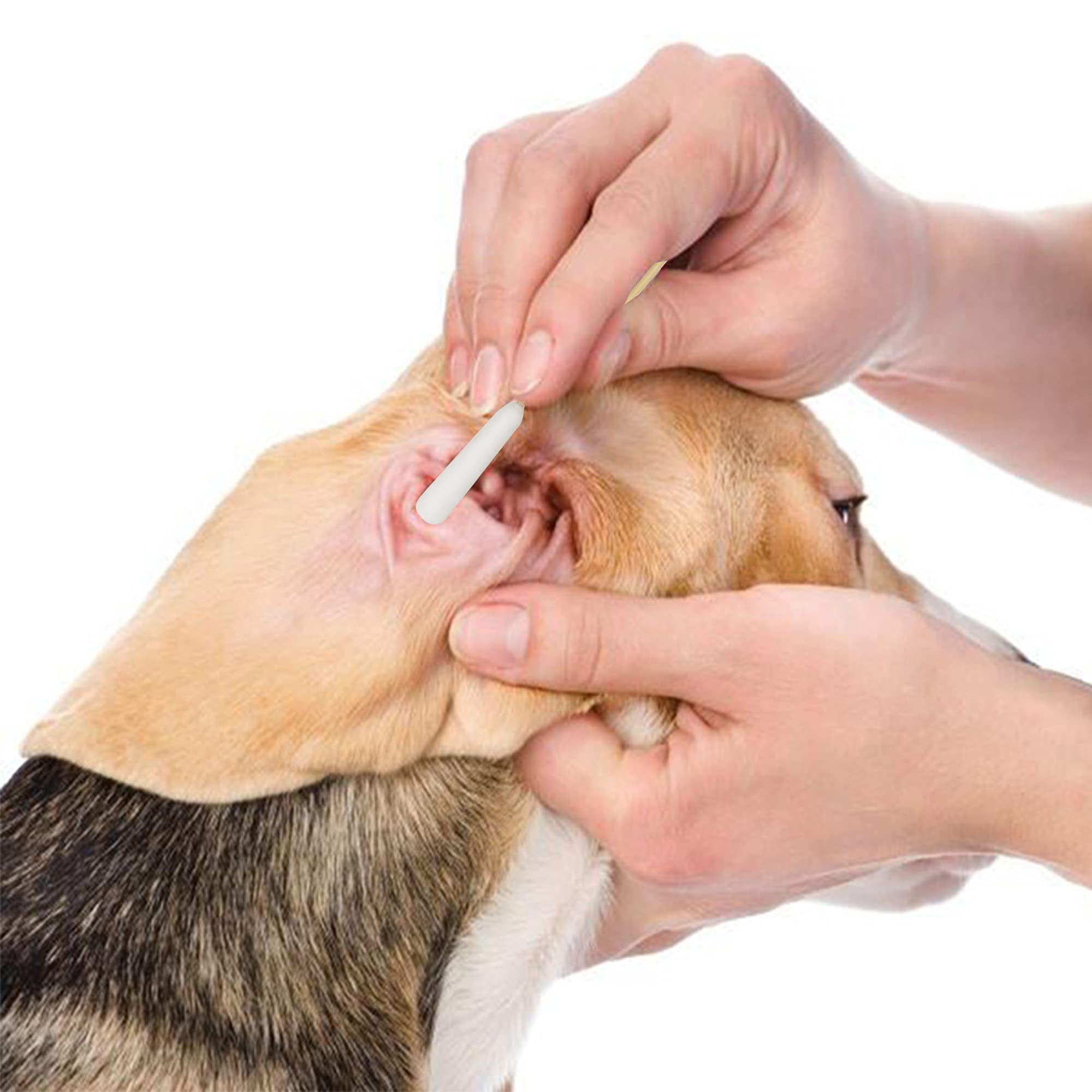 6 Inch Long Cotton Swabs of Medium and Large Pets Ears Cleaning or Makeup 400pcs