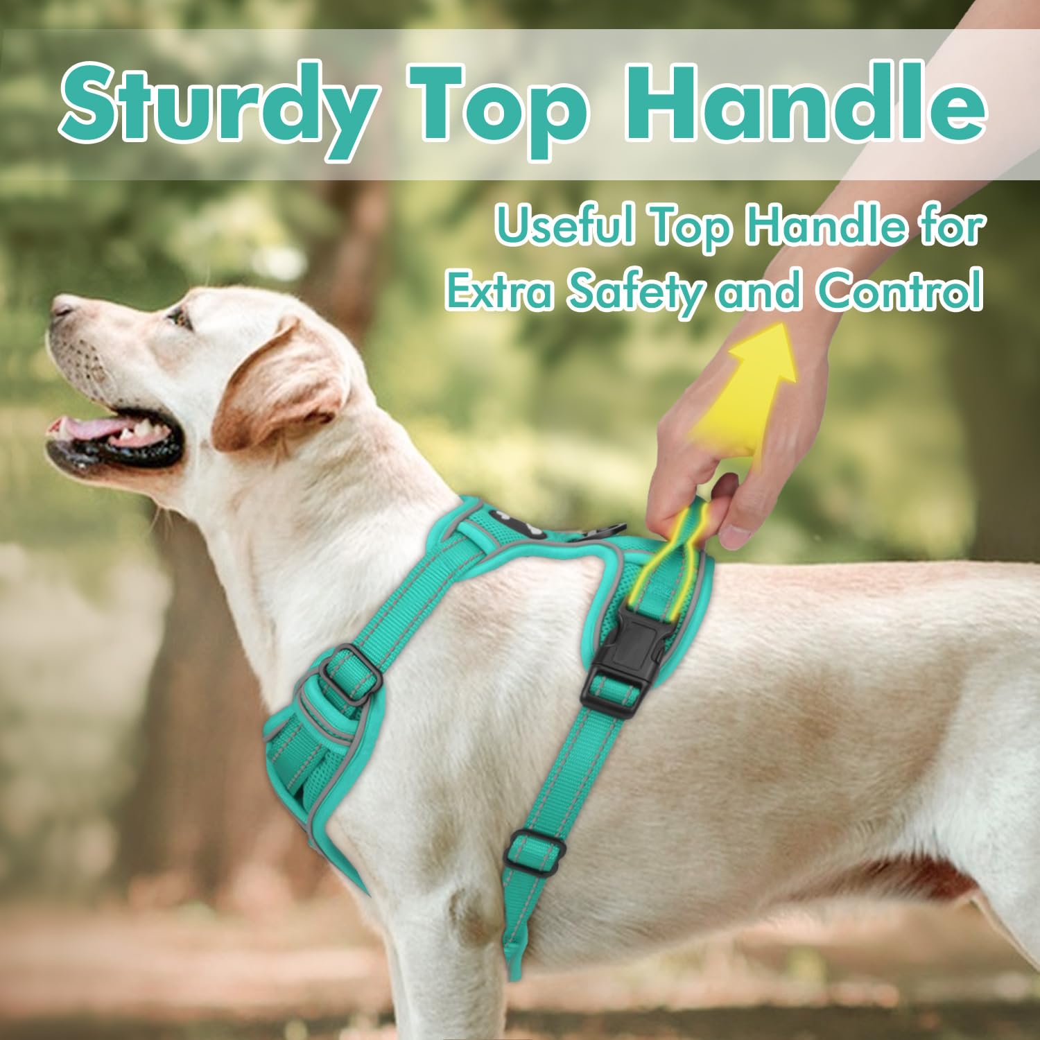 Joytale Step-In No Pull Dog Harness For Puppy Small Dogs With 2 Leash Clips, Reflective Pet Vest With Easy Control Handle, Adjus