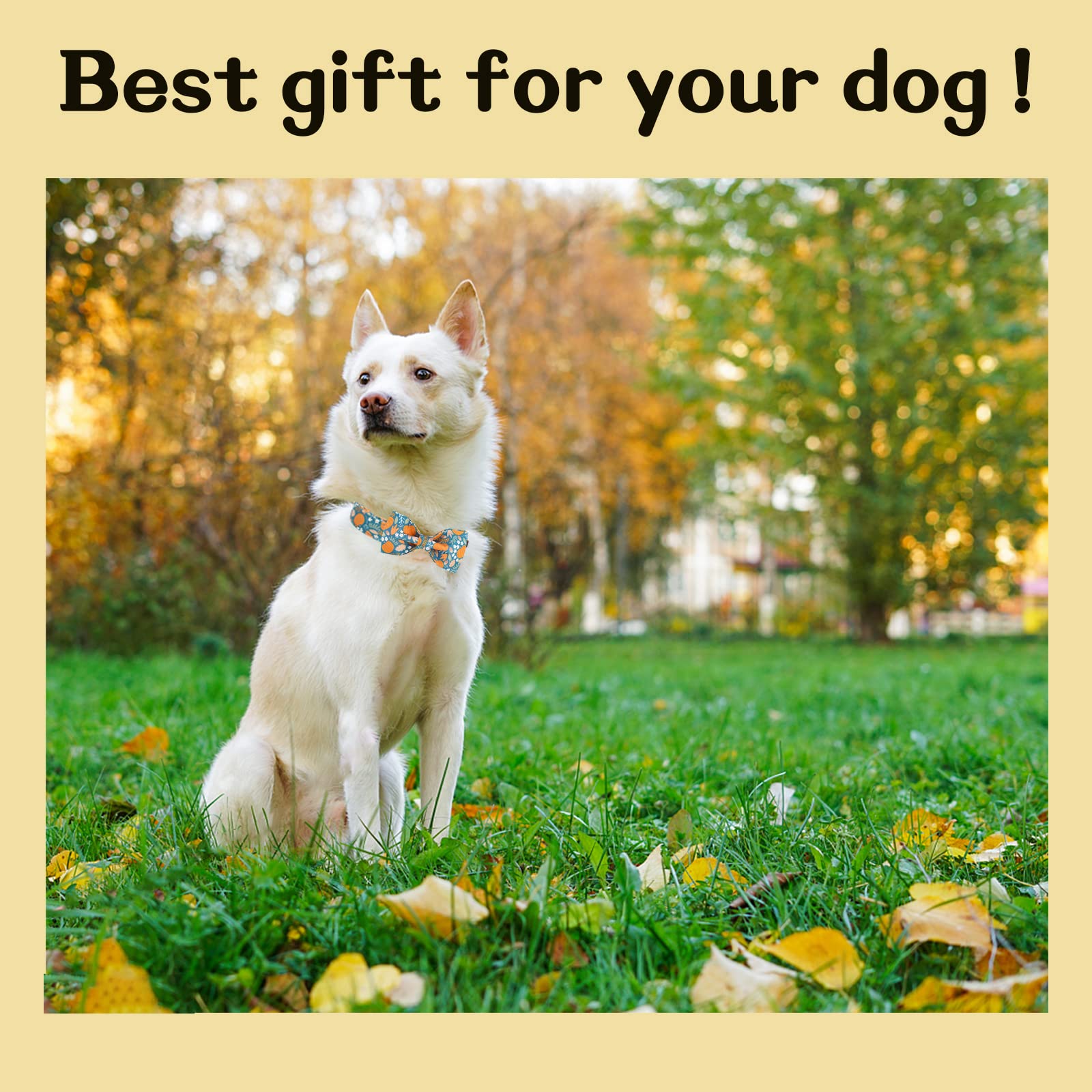 Unique Style Paws Halloween Dog Collar With Bow Tie Pumpkin Cotton Collar Adjustable Puppy Collar For Small Medium Large Dogs-Xs