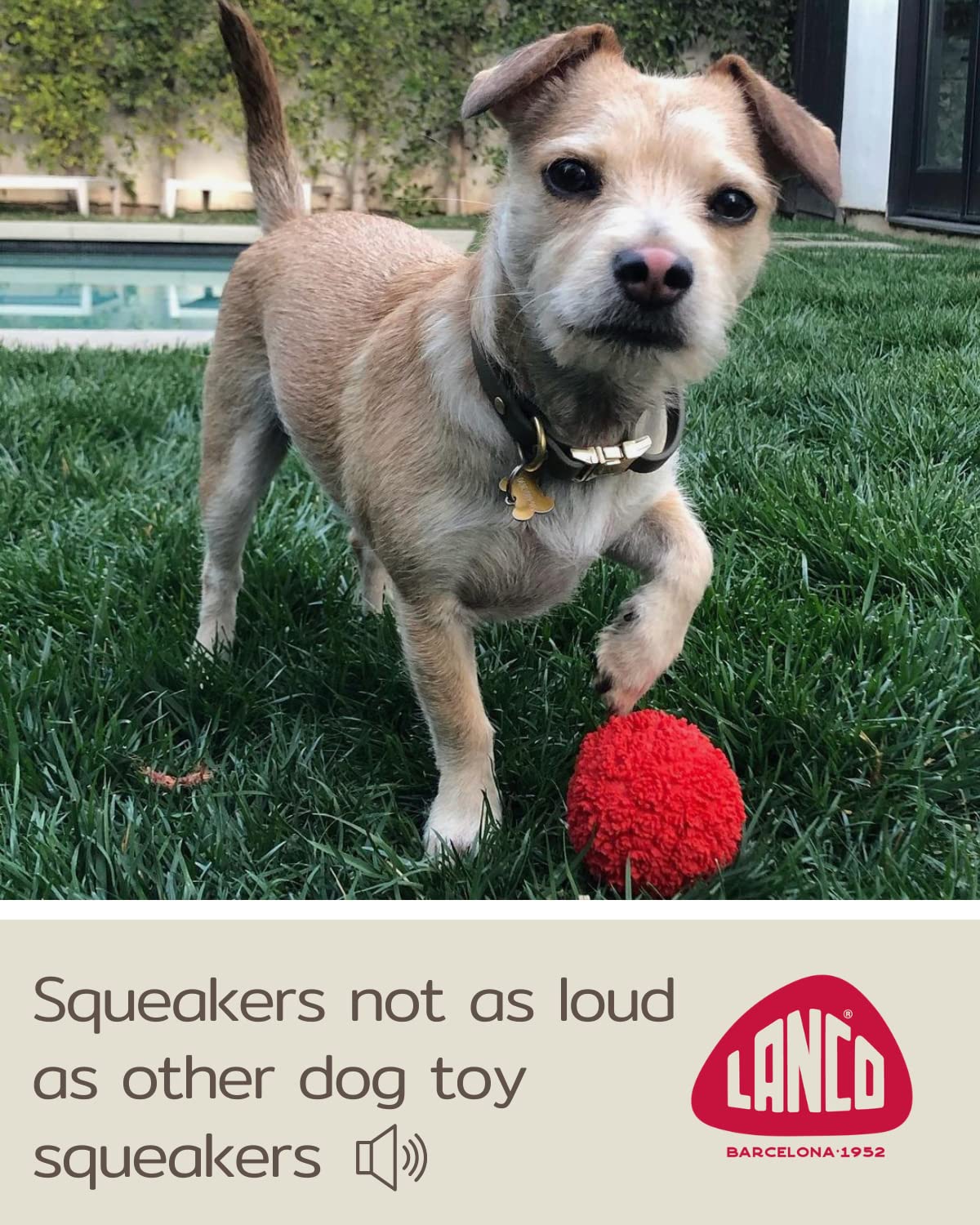 Set Of 2 Squeaky Rubber Balls For Puppies - 3' - Sensory Dog Toys - Soft Natural Rubber (Latex) - Puppies Small Breeds - Comply With Same Safety Standards As Baby Toys