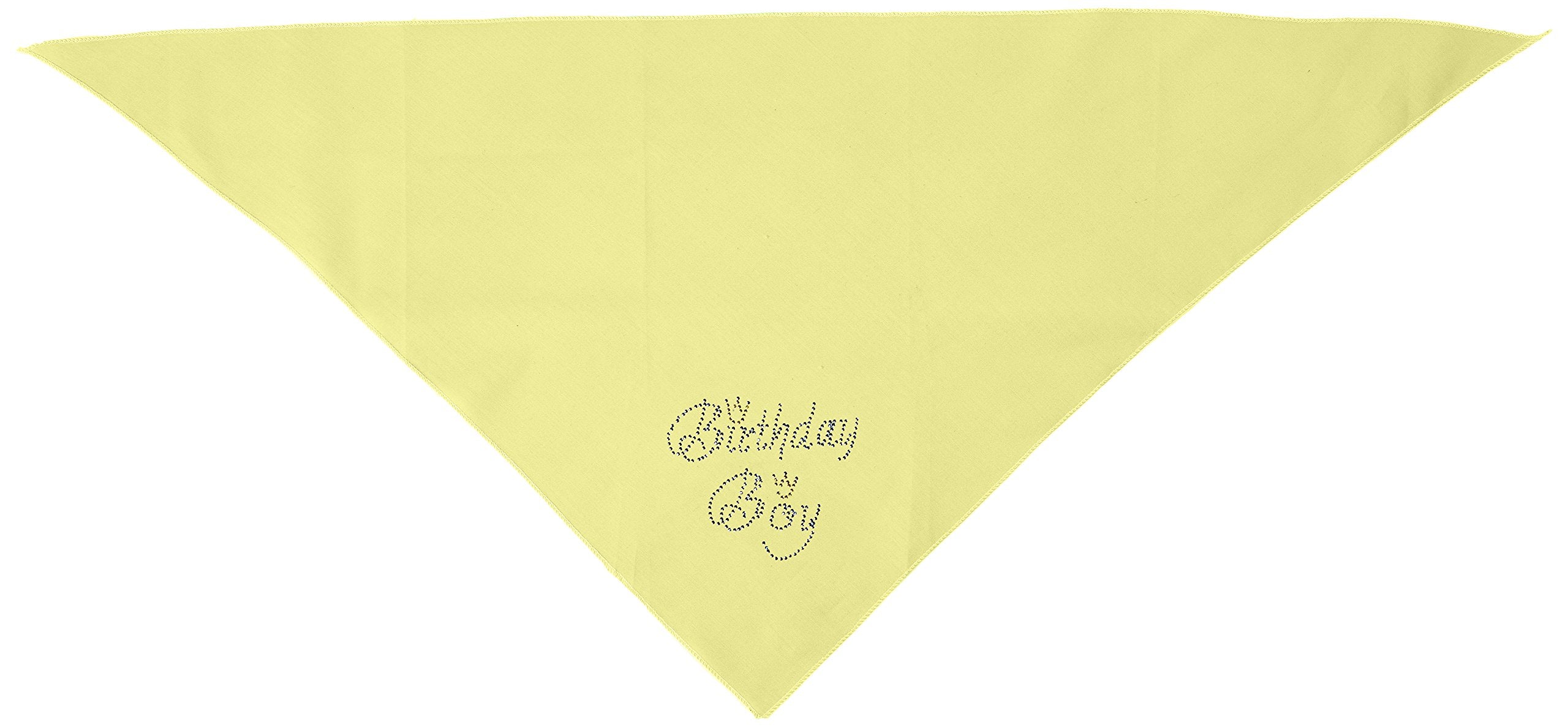 Mirage Pet Products Birthday Boy Rhinestone Bandana, Large, Yellow