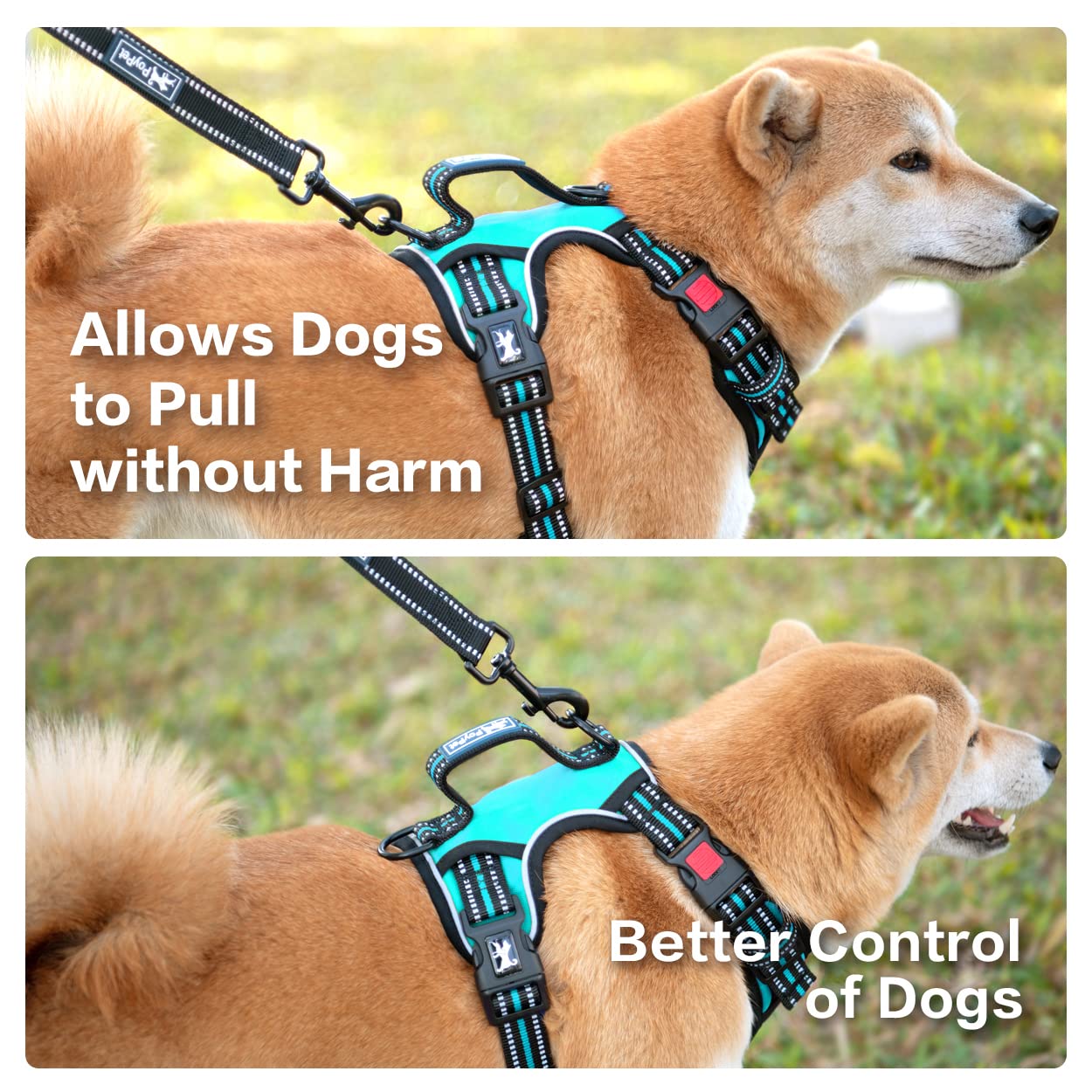 Poypet No Pull Dog Harness, No Choke Front Clip Reflective Dog Vest With Soft Padded Vertical Handle, 3 Leash Attachments For Small Medium Large Dogs (Mint Blue,M)