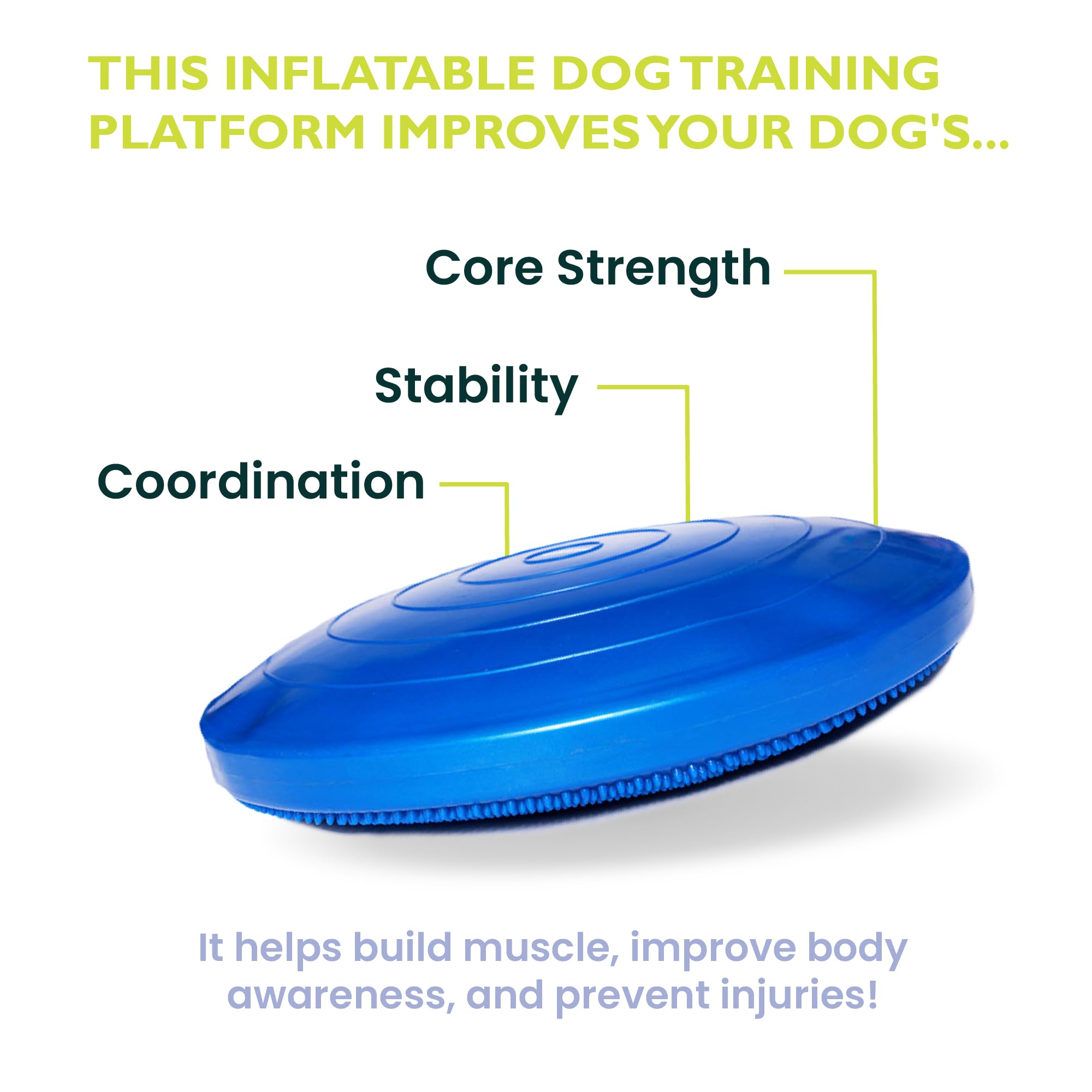 FitPAWS Dog Balance Disc - Blue, 14'' | Dog Exercise Equipment | Workout Tool for Strength, Core, Stability & Rehabilitation