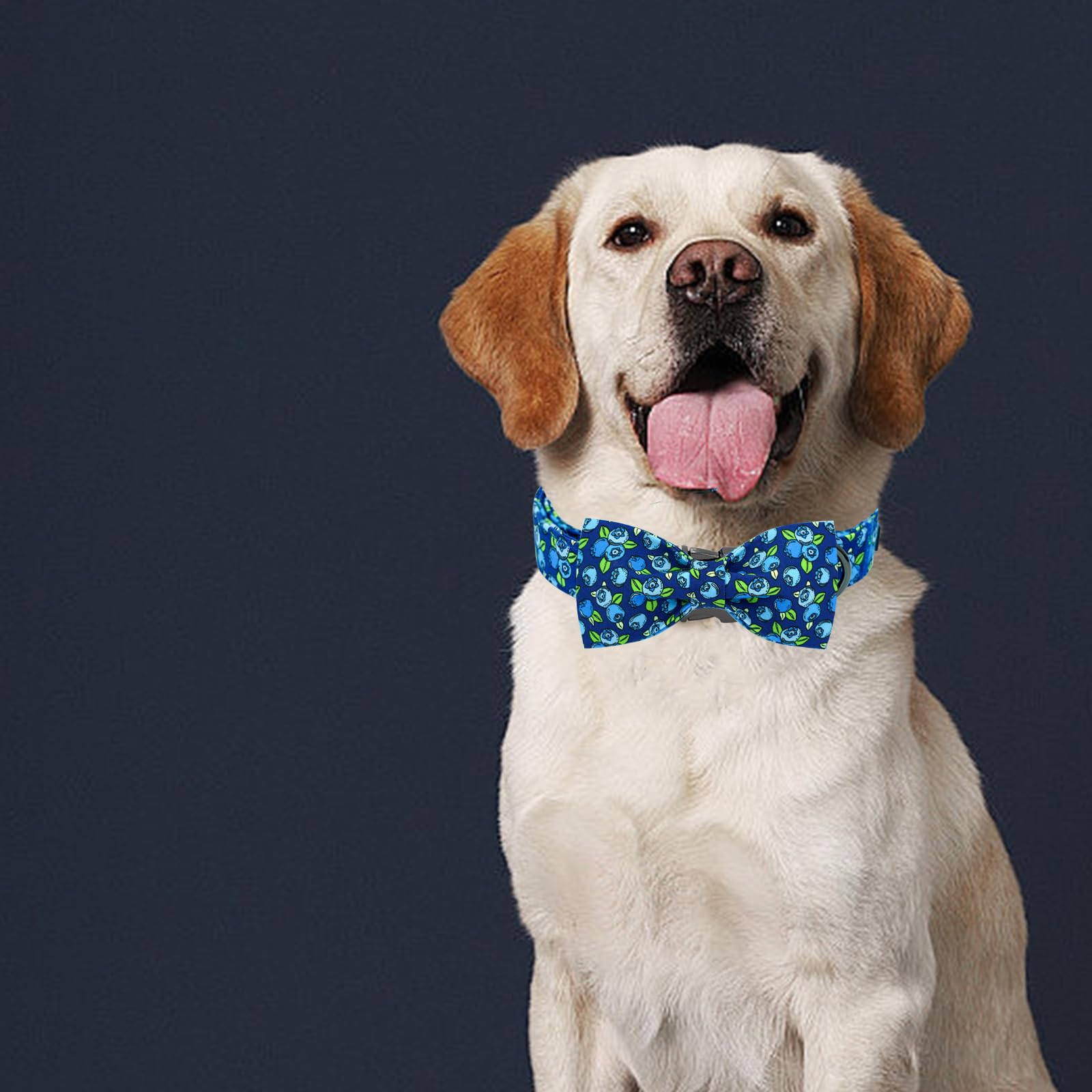 Elegant Little Tail Dog Collar- Cute Blueberry Dog Collar With Bow For Medium Dogs, Male Adjustable Cotton Summer Pet Bow Holida